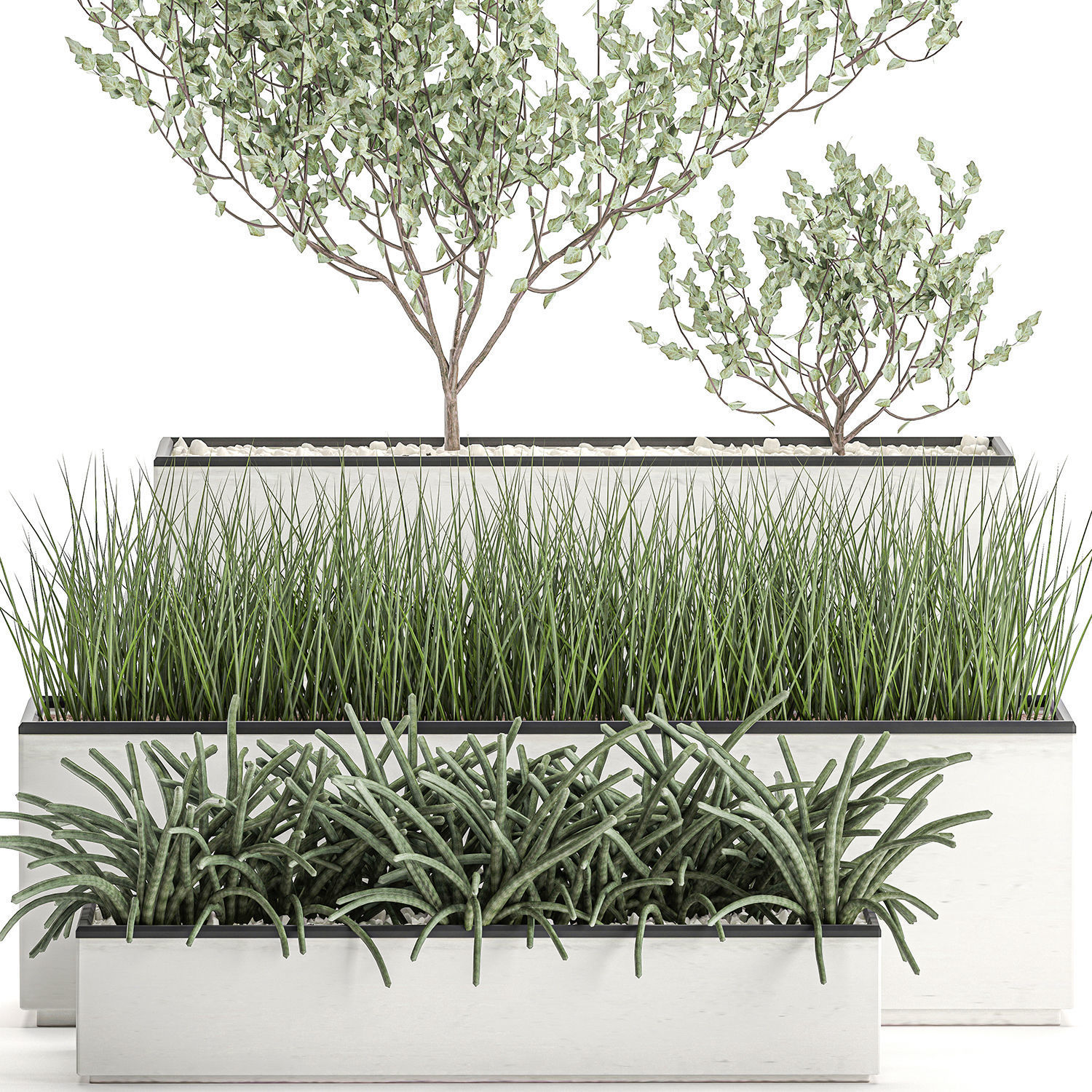 Decorative plants for the interior in a white flowerpot 585 3D model_7