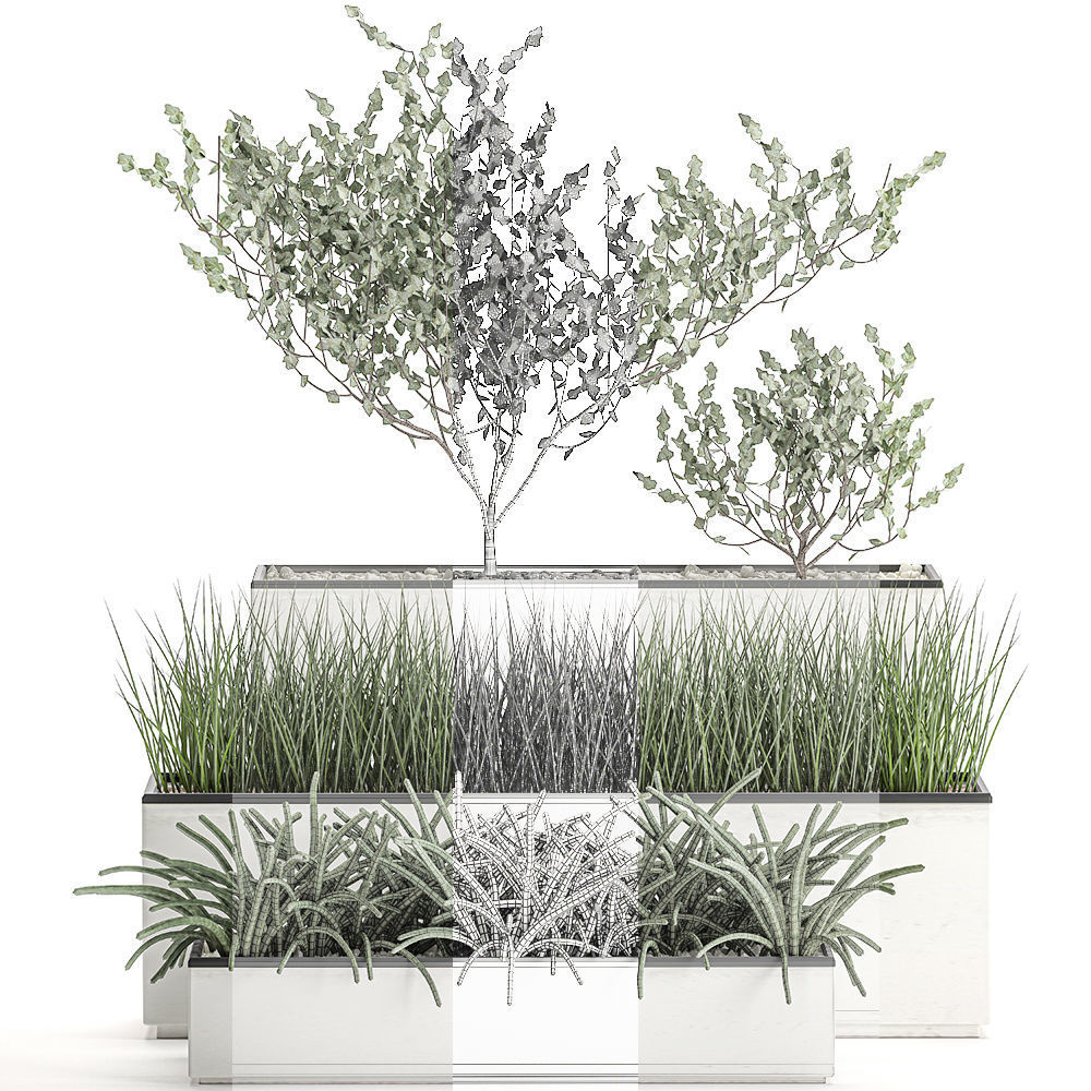 Decorative plants for the interior in a white flowerpot 585 3D model_4