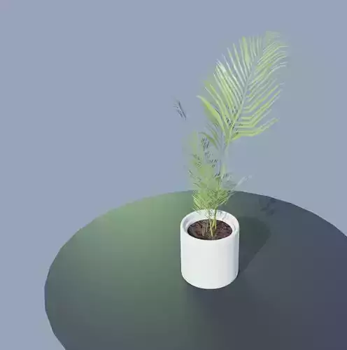 Low Poly Areca Palm