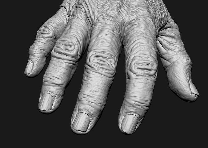 Old Male Realistic hand 3D model