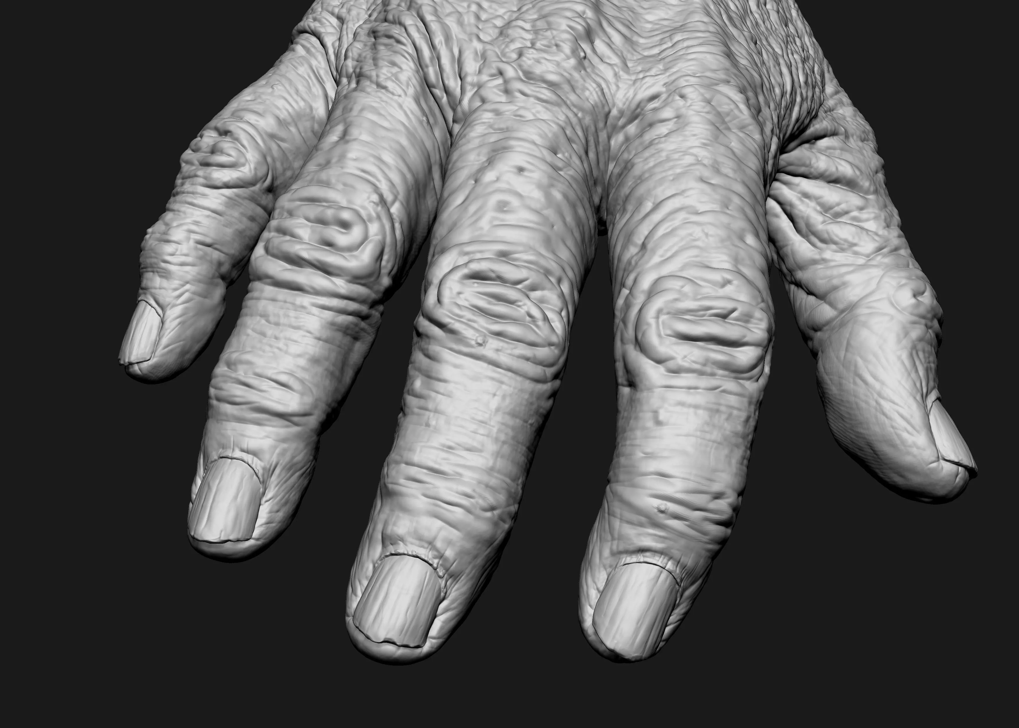 Old Male Realistic hand 3D model_0