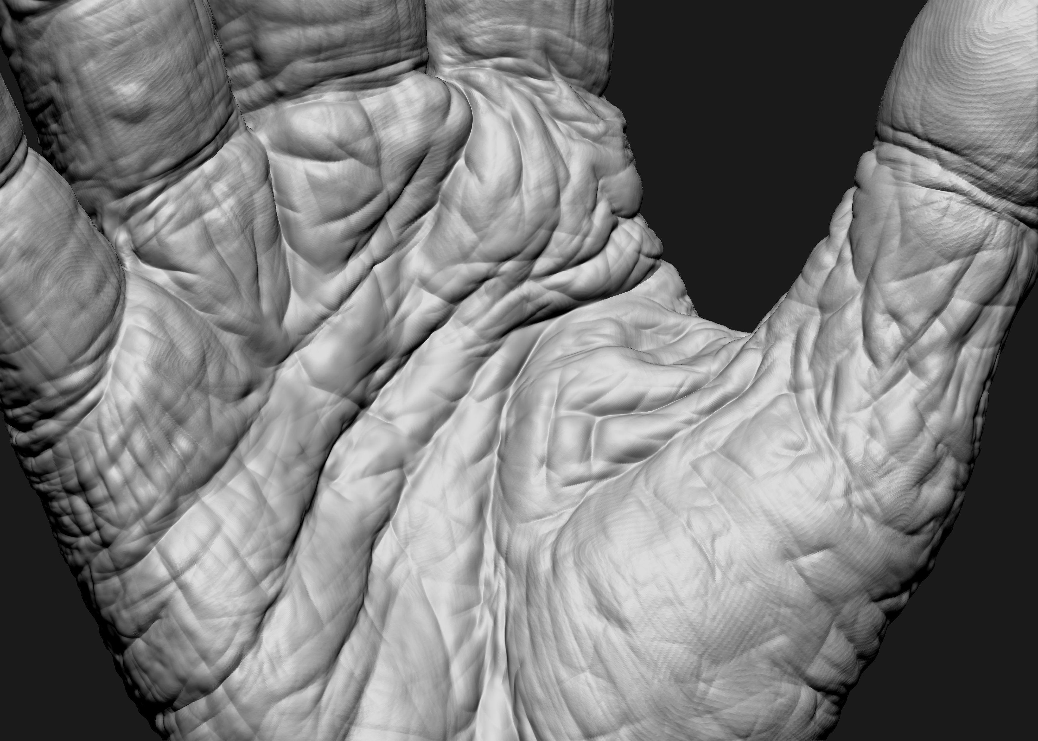 Old Male Realistic hand 3D model_10