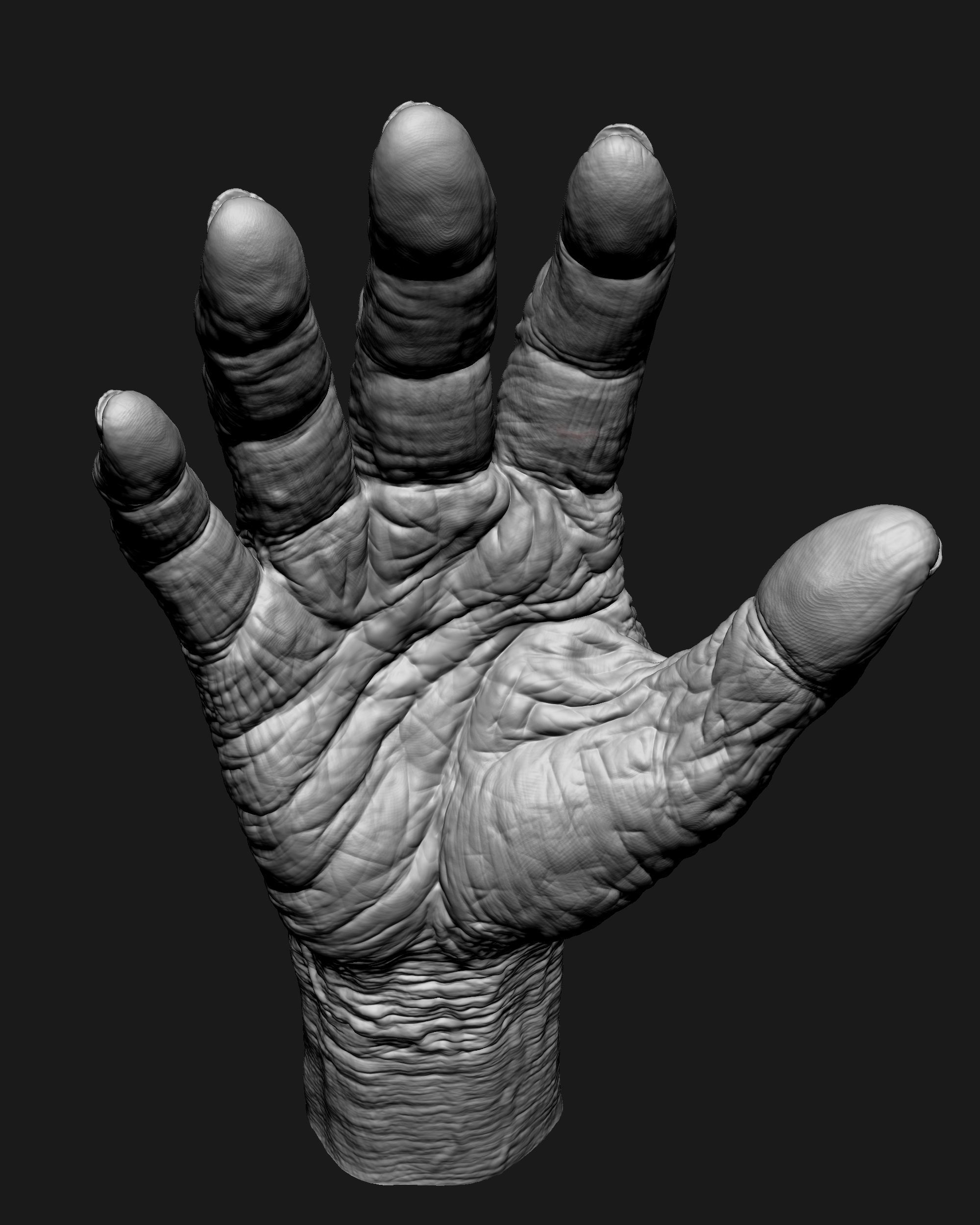 Old Male Realistic hand 3D model_7