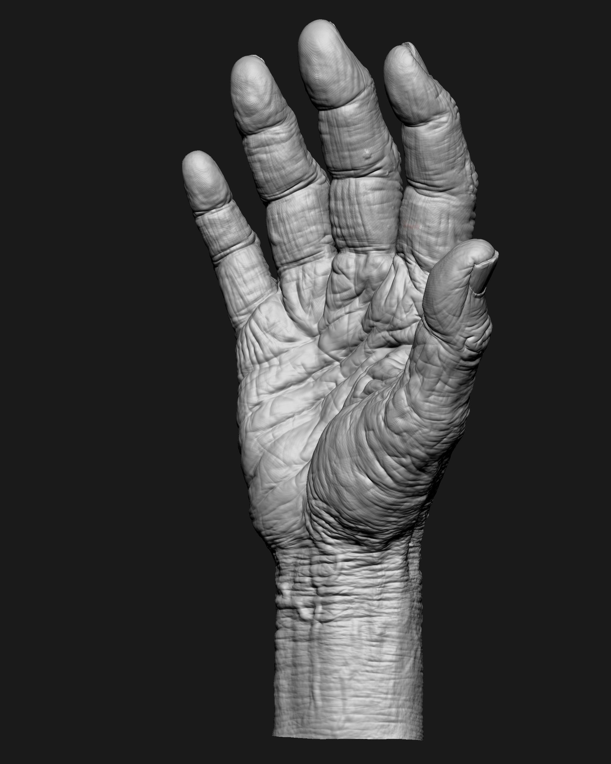 Old Male Realistic hand 3D model_13