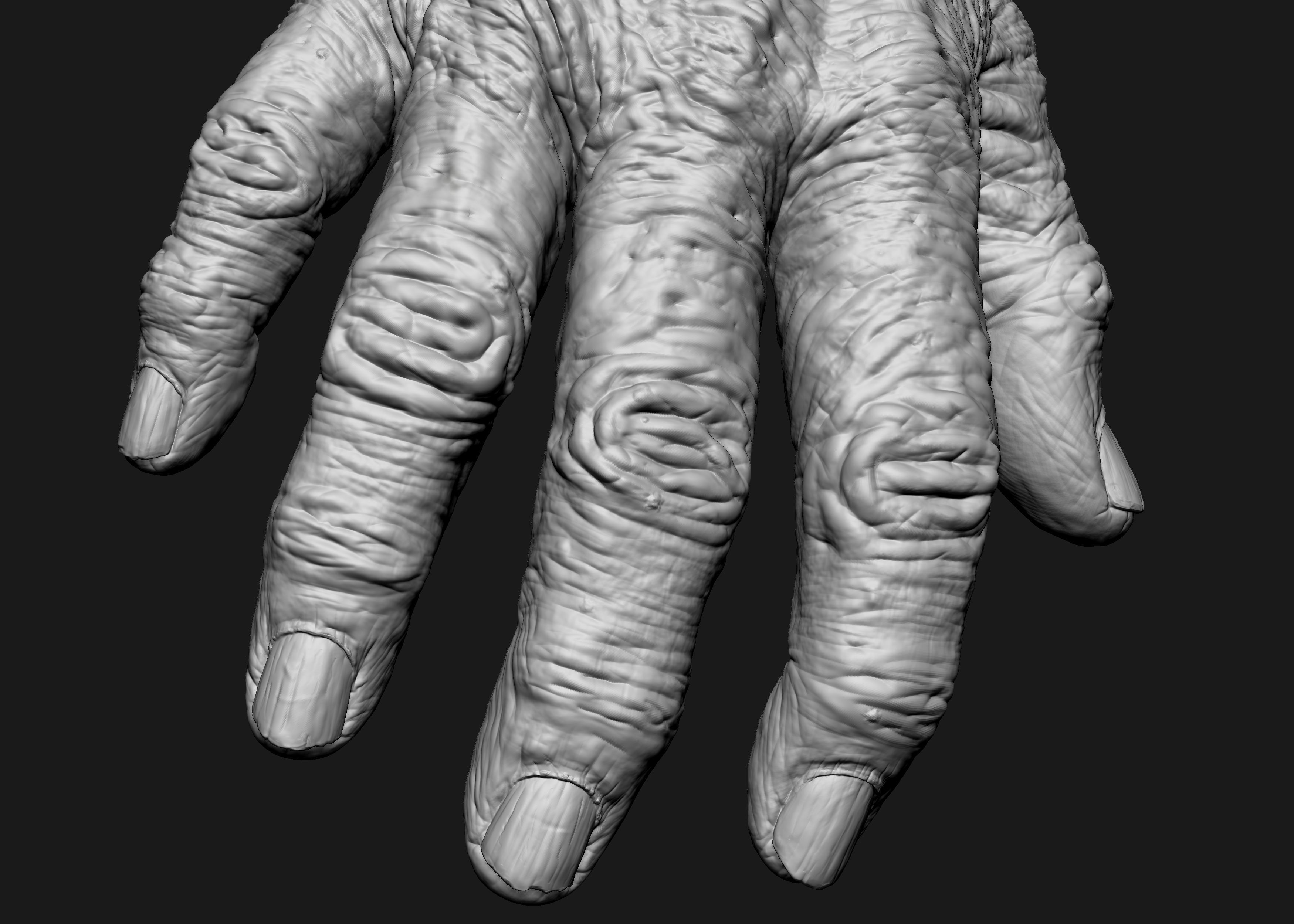Old Male Realistic hand 3D model_11