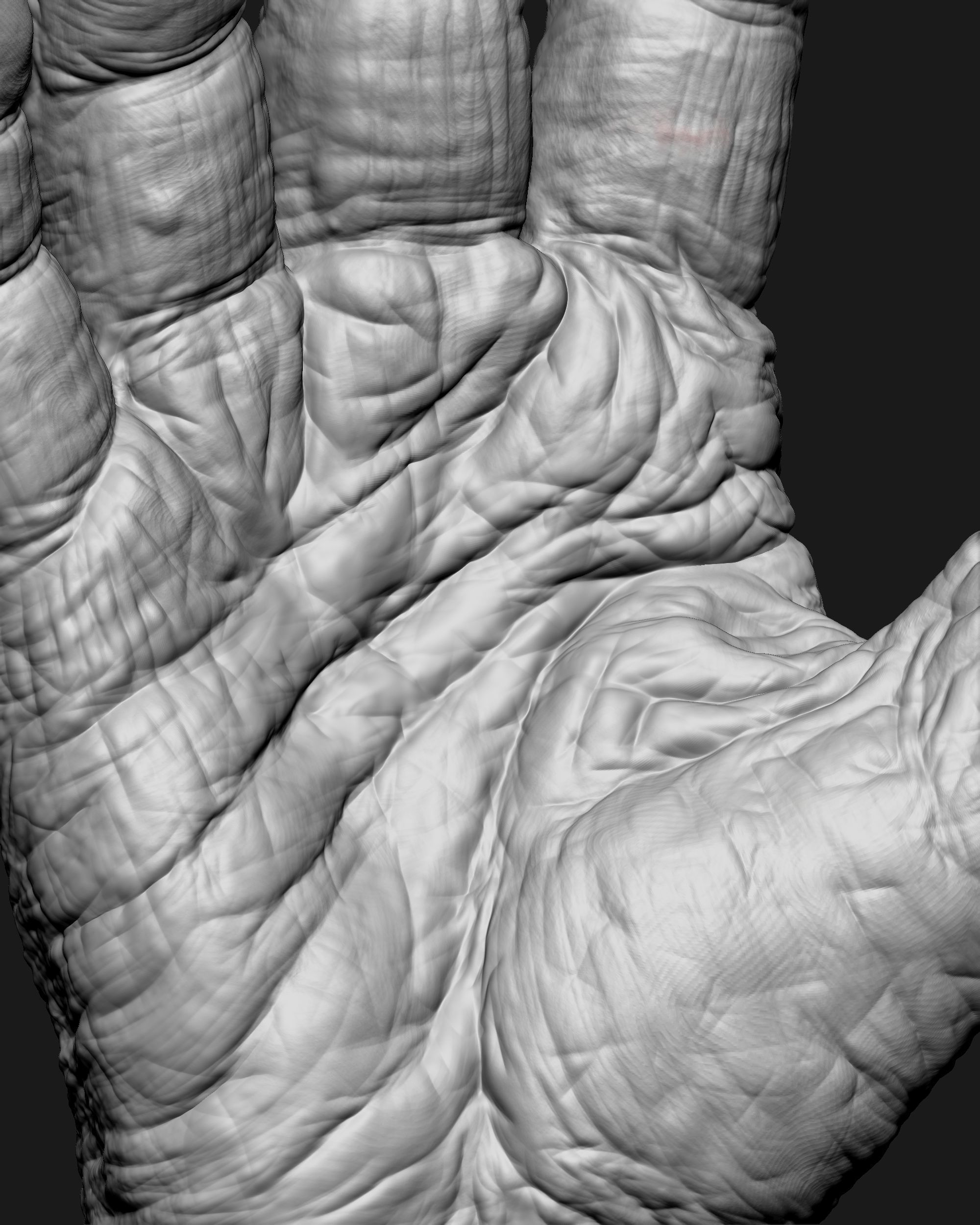 Old Male Realistic hand 3D model_9