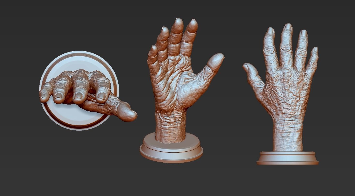Old Male Realistic hand 3D model_30