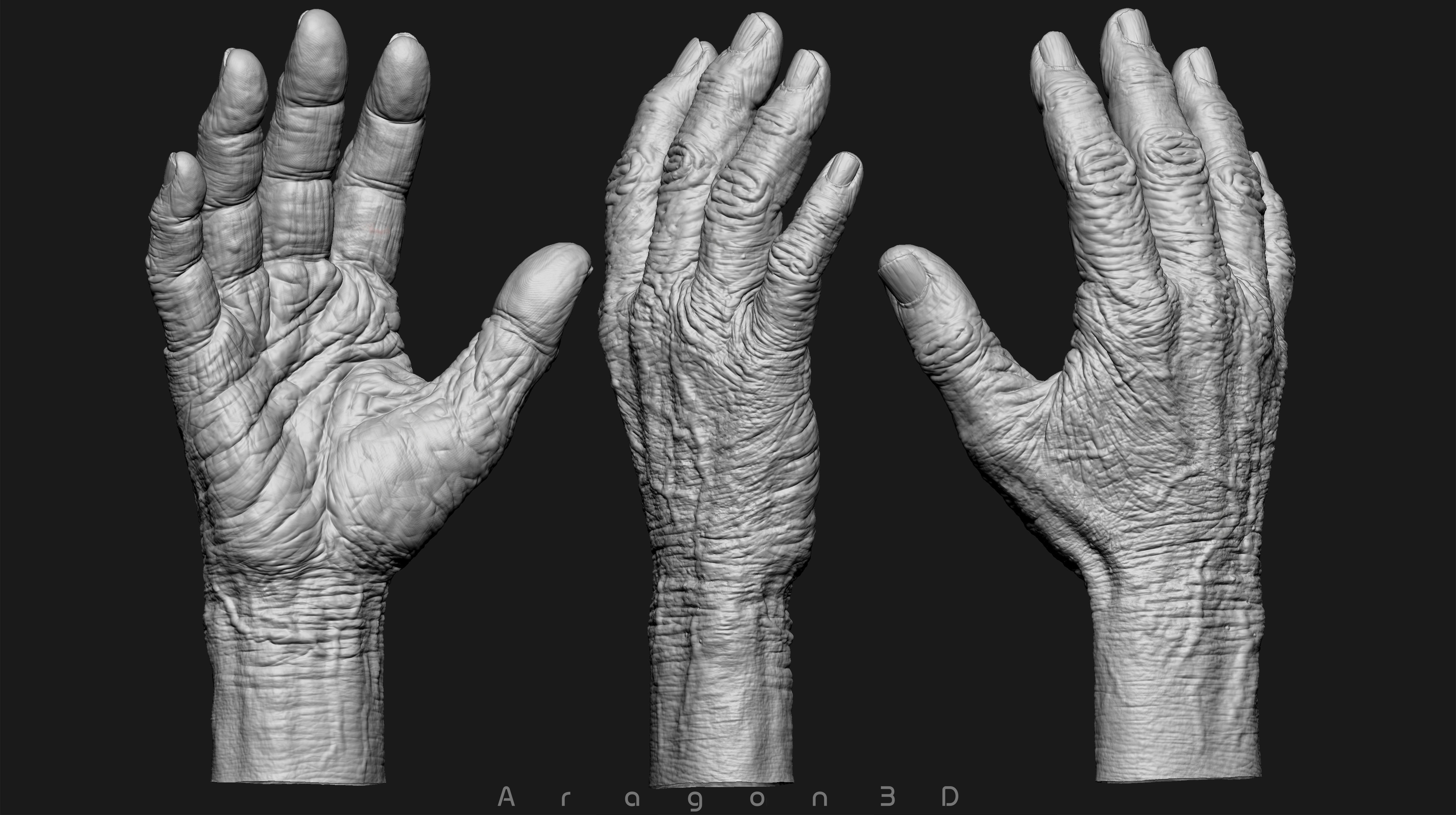 Old Male Realistic hand 3D model_1