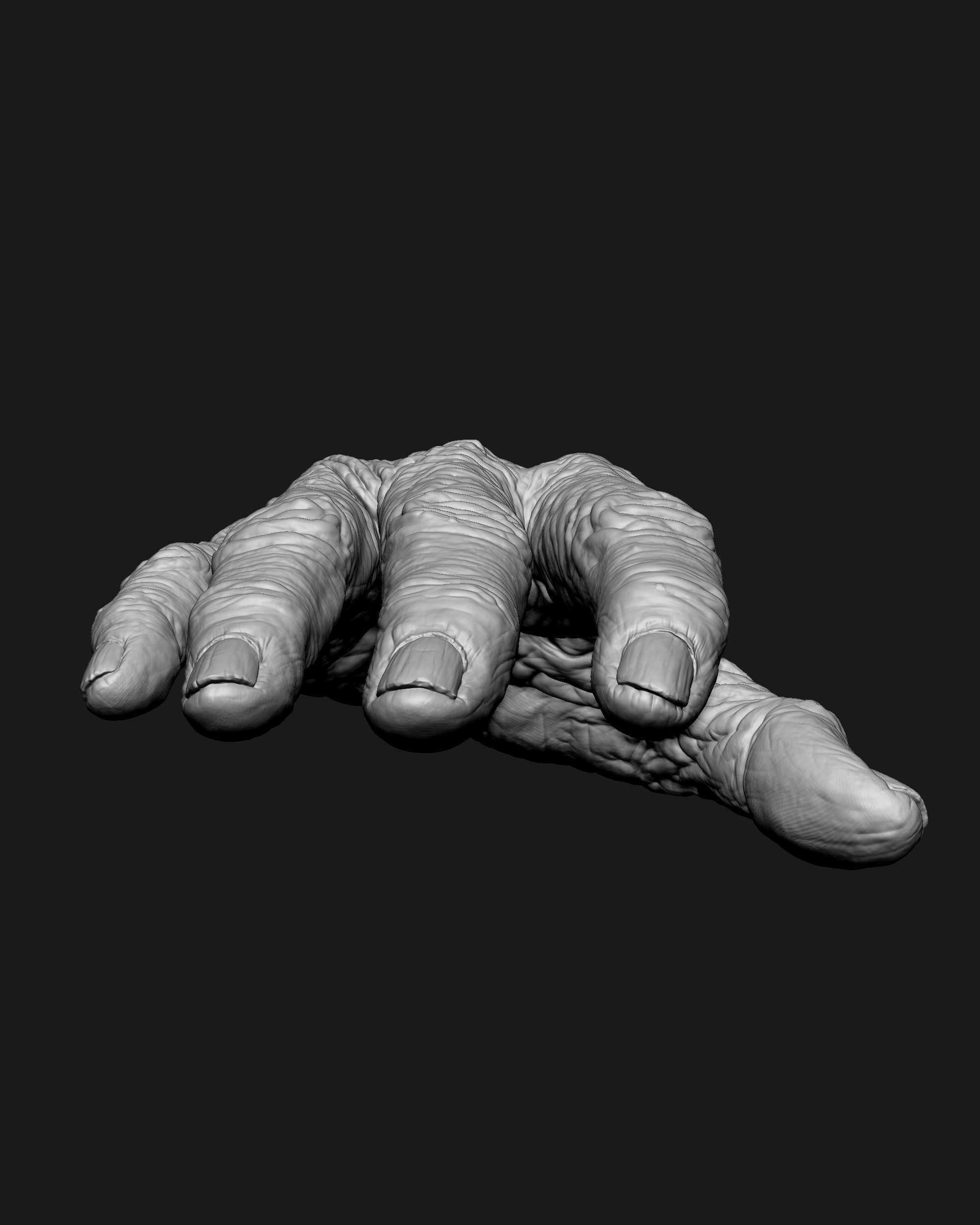 Old Male Realistic hand 3D model_8