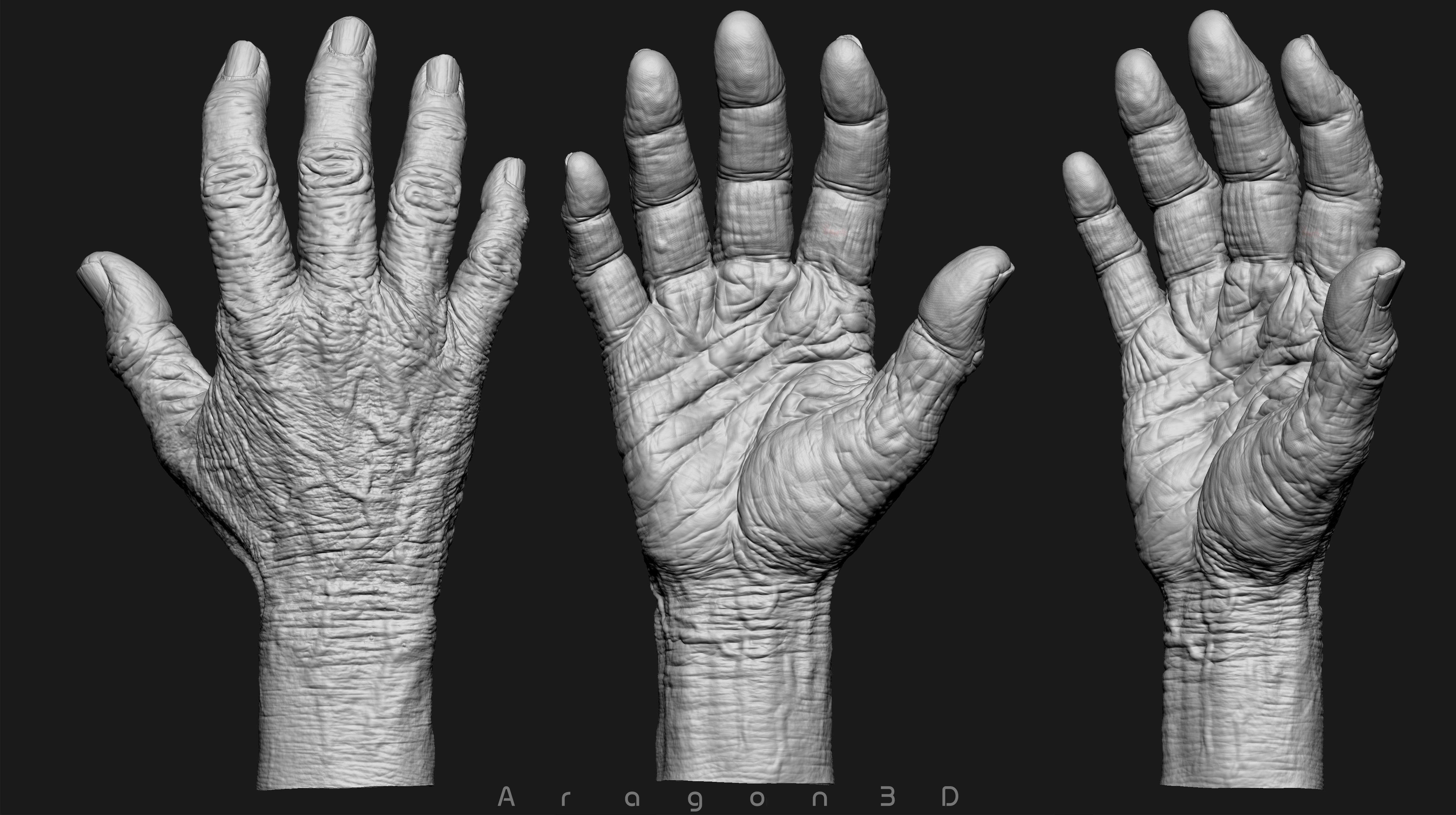 Old Male Realistic hand 3D model_3