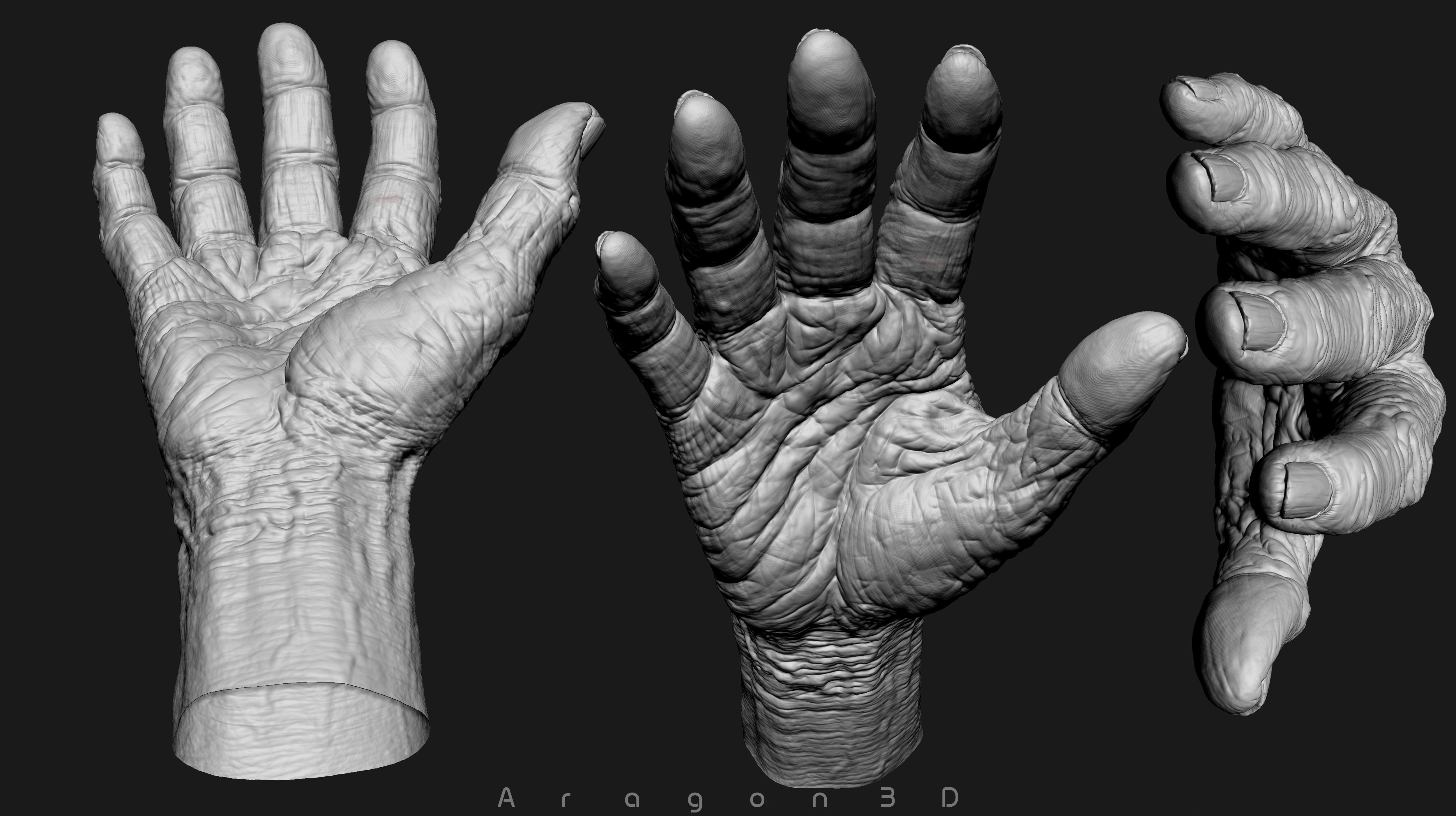 Old Male Realistic hand 3D model_29