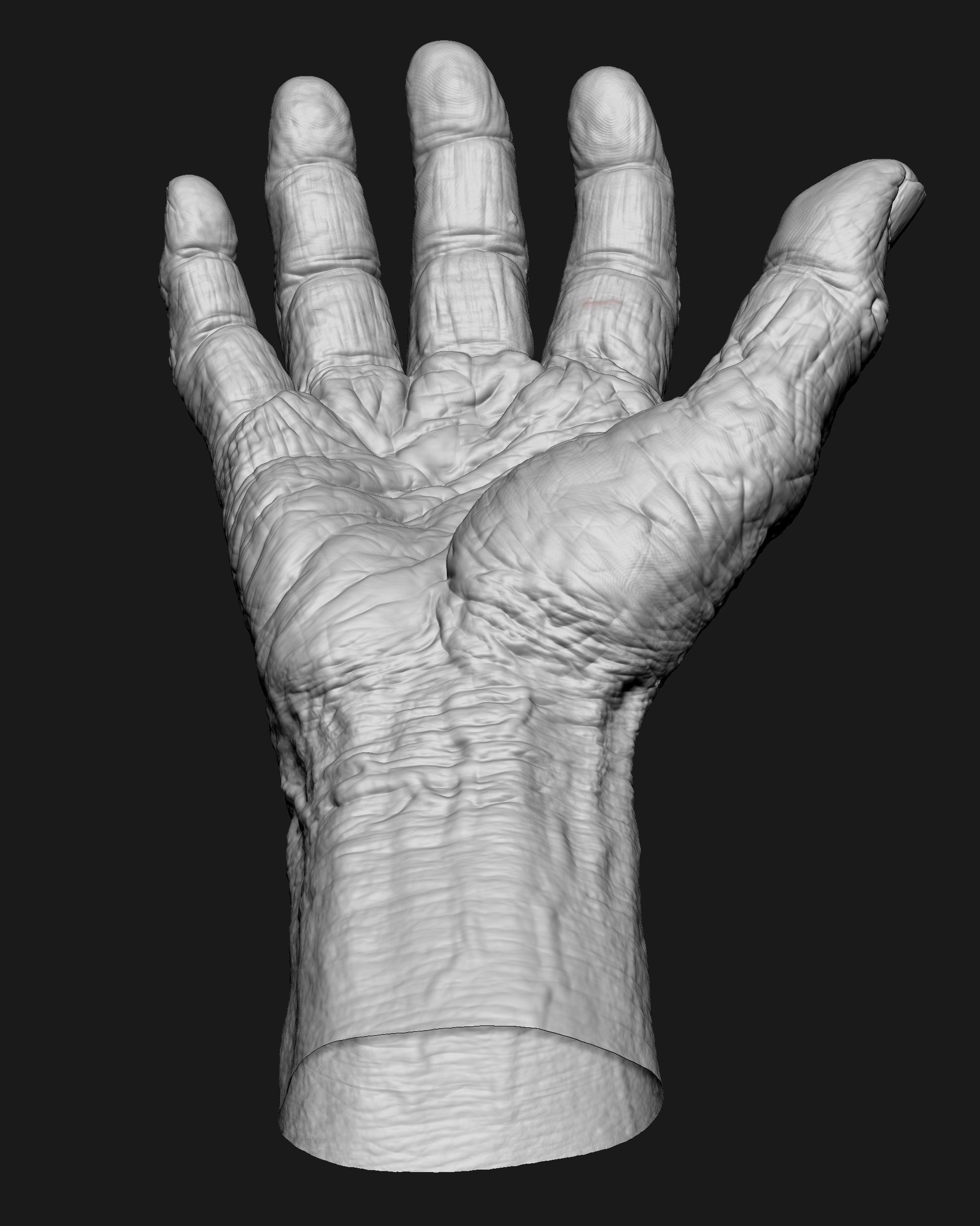 Old Male Realistic hand 3D model_4