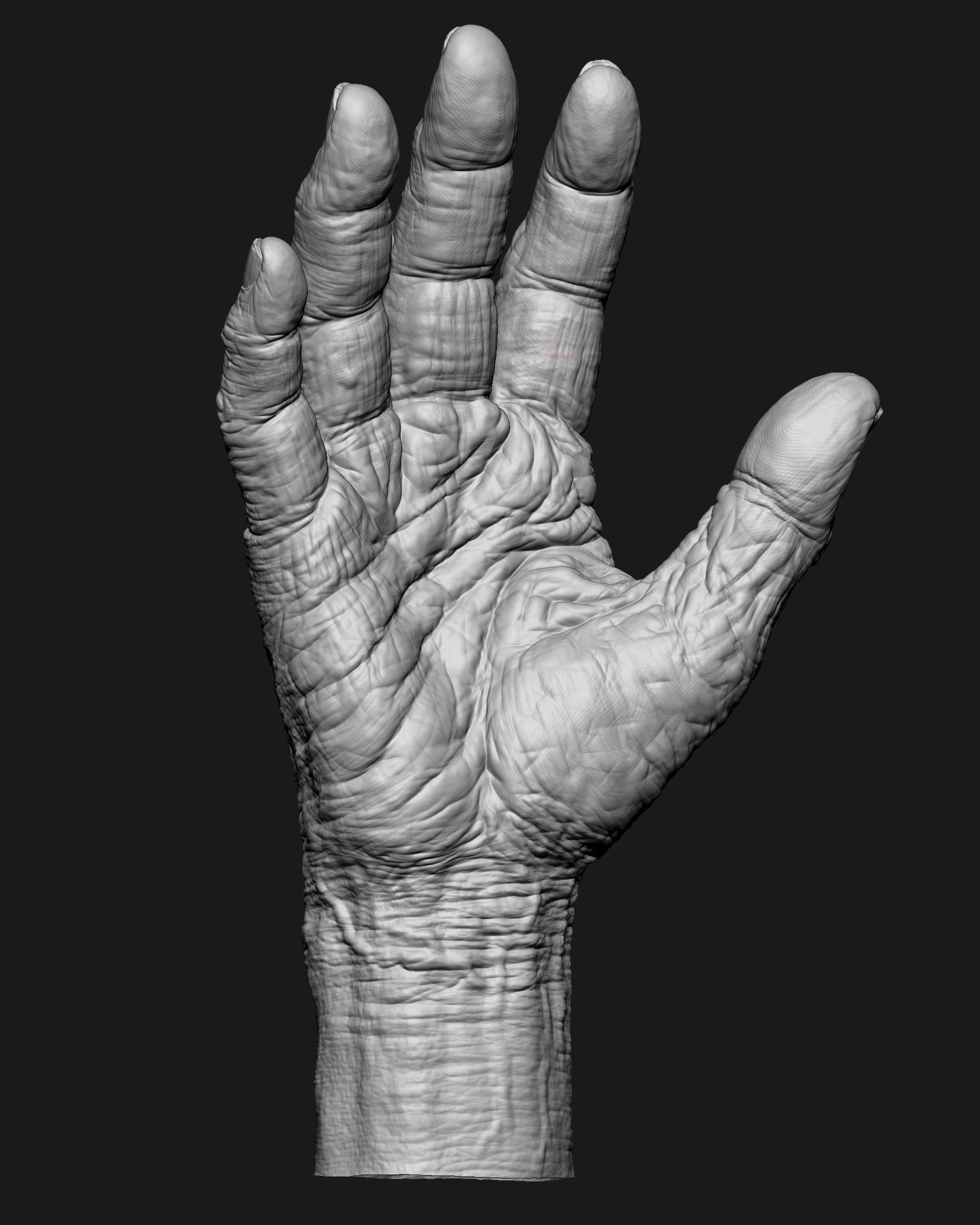 Old Male Realistic hand 3D model_15