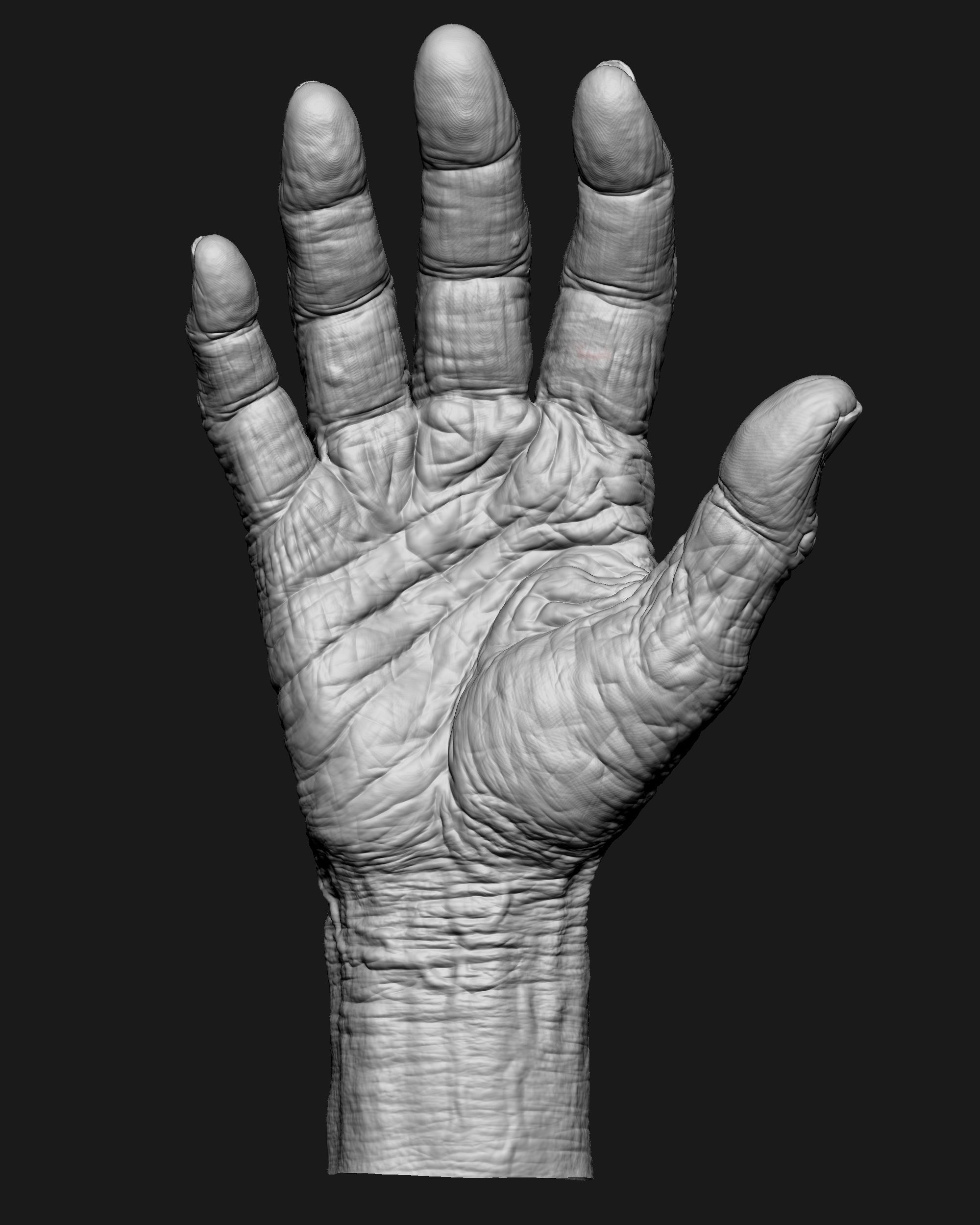Old Male Realistic hand 3D model_14