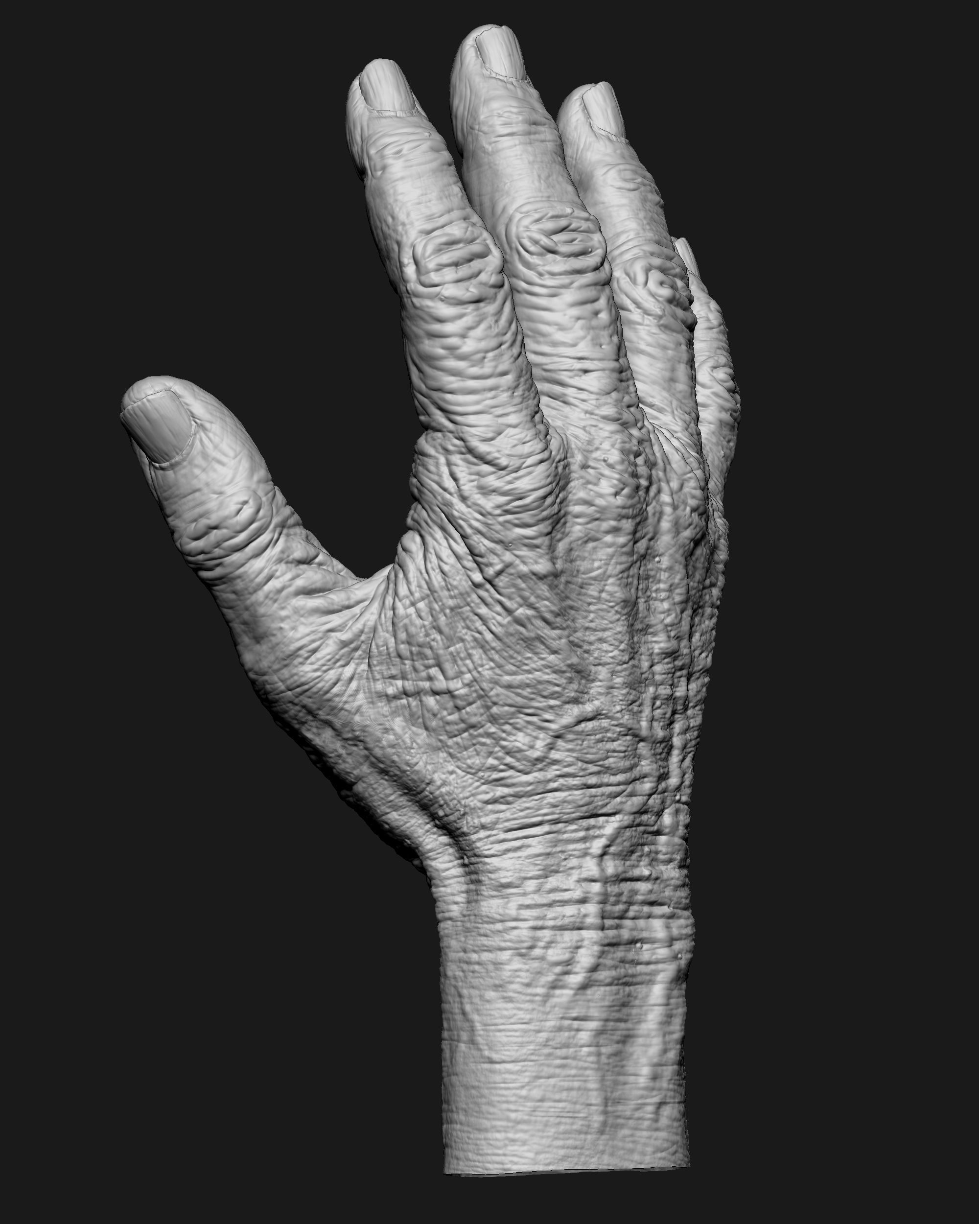 Old Male Realistic hand 3D model_19