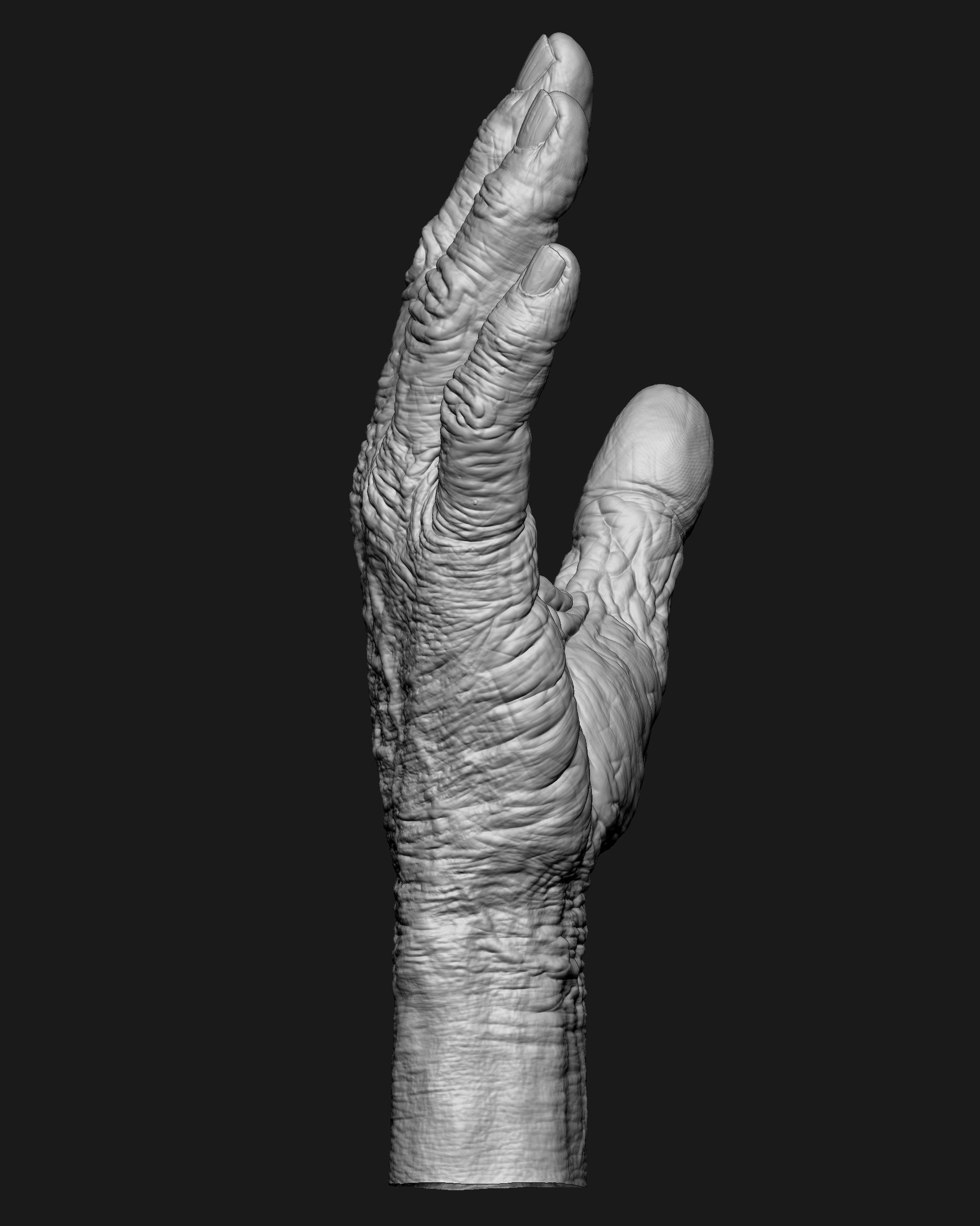Old Male Realistic hand 3D model_16