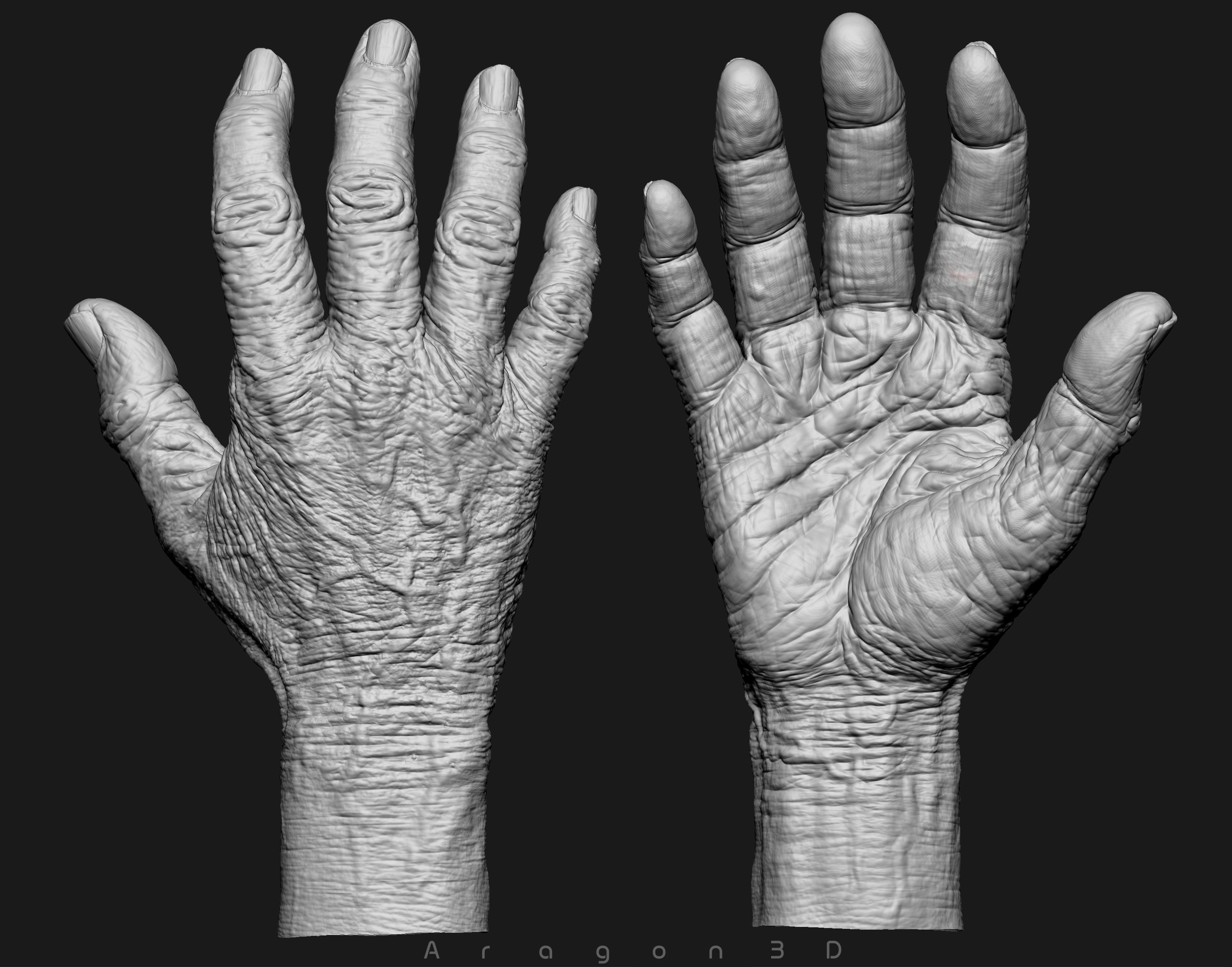 Old Male Realistic hand 3D model_2