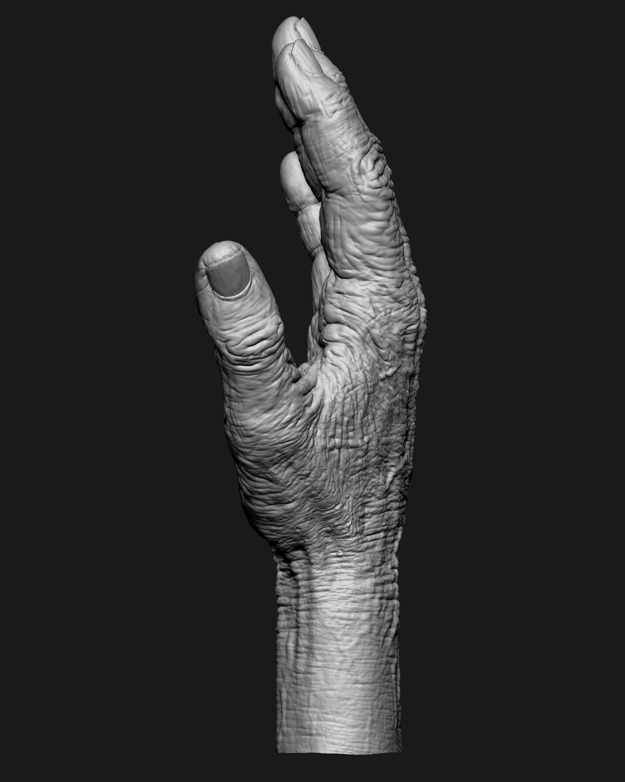Old Male Realistic hand 3D model_20