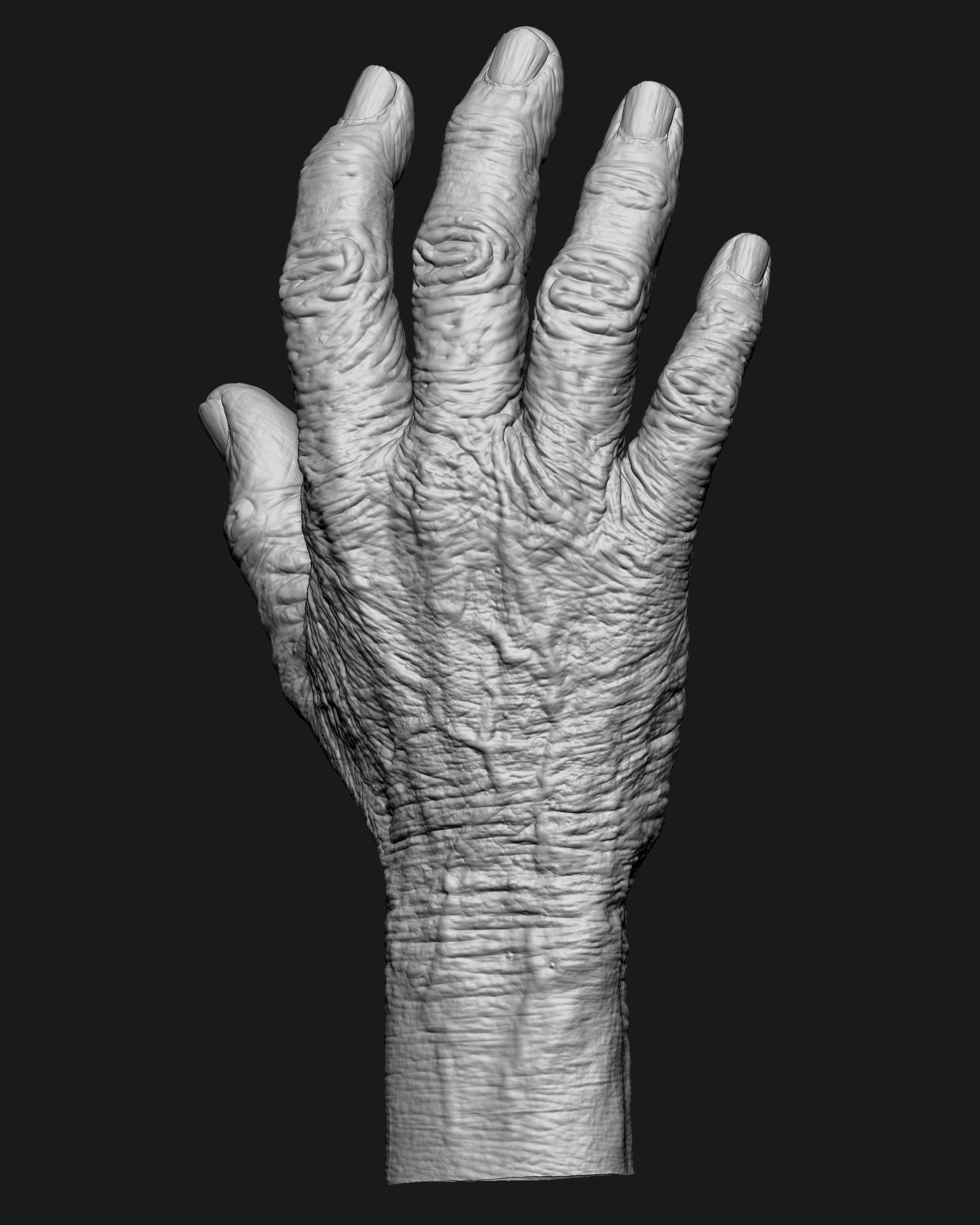 Old Male Realistic hand 3D model_26