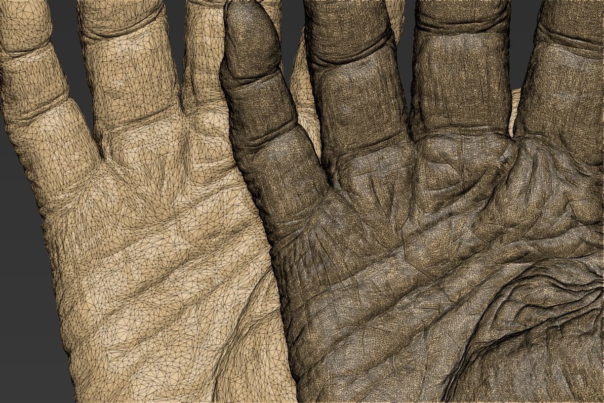 Old Male Realistic hand 3D model_28