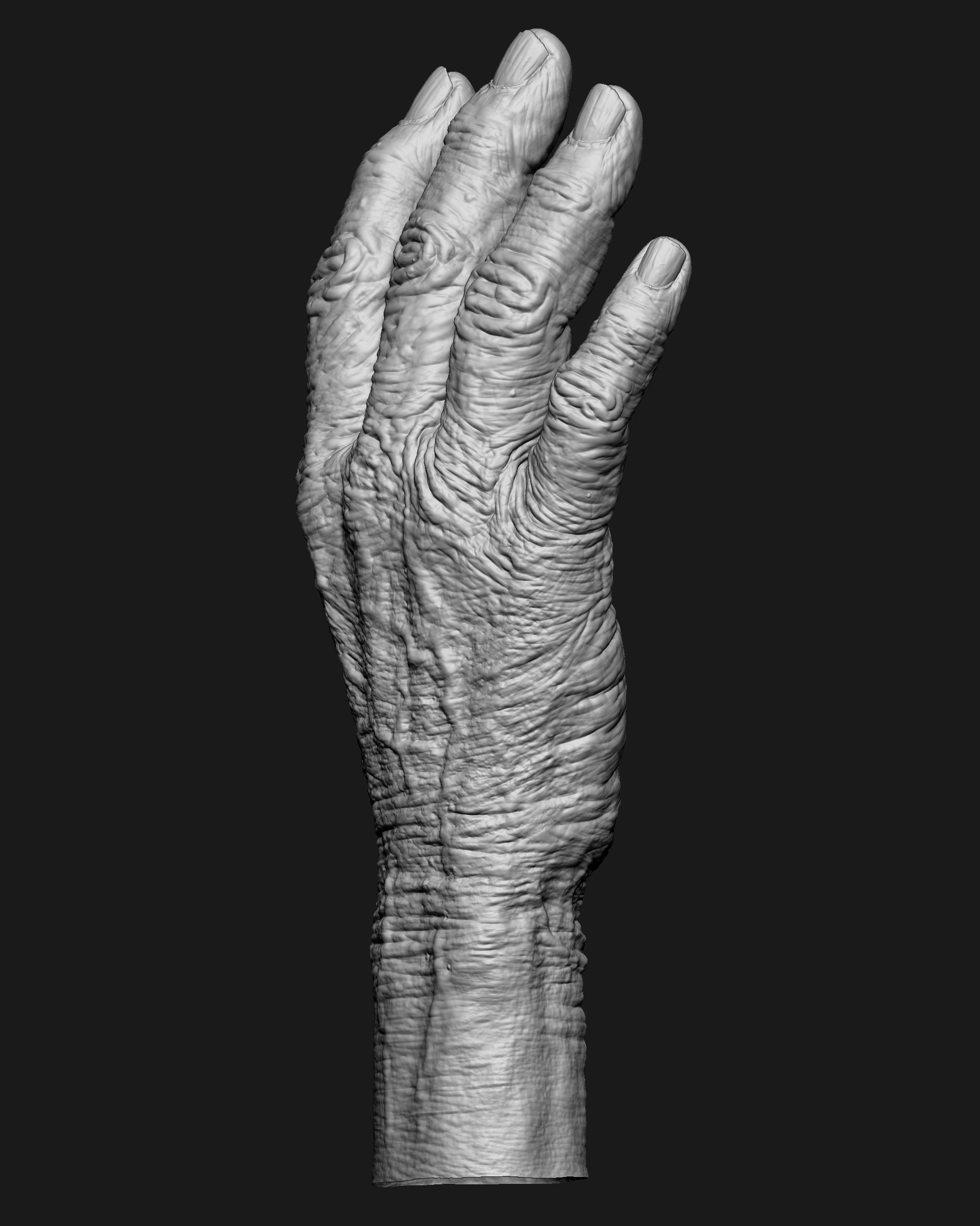 Old Male Realistic hand 3D model_17