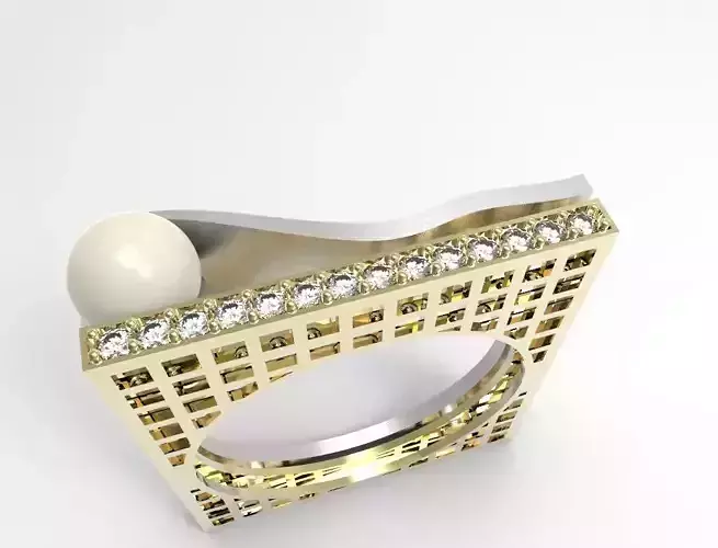 Ring Swami 3D print model