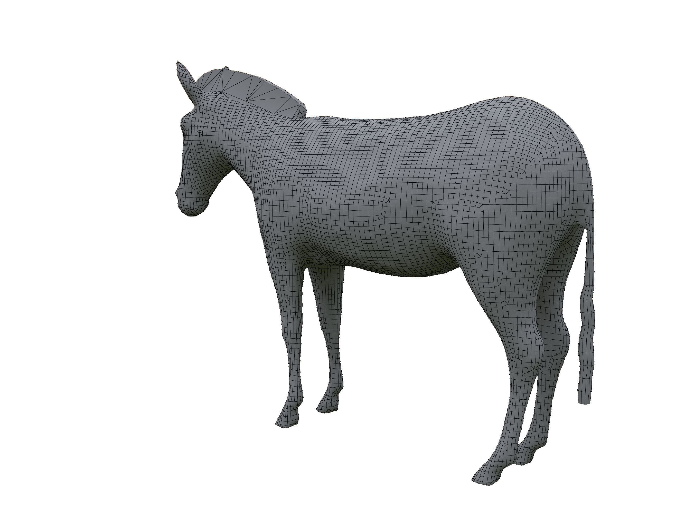 Zebra Low Poly For Games and VR Low-poly 3D model_28