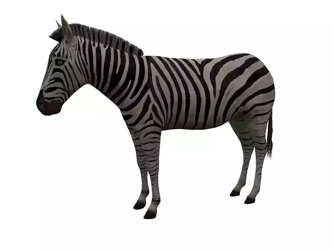 Zebra Low Poly For Games and VR