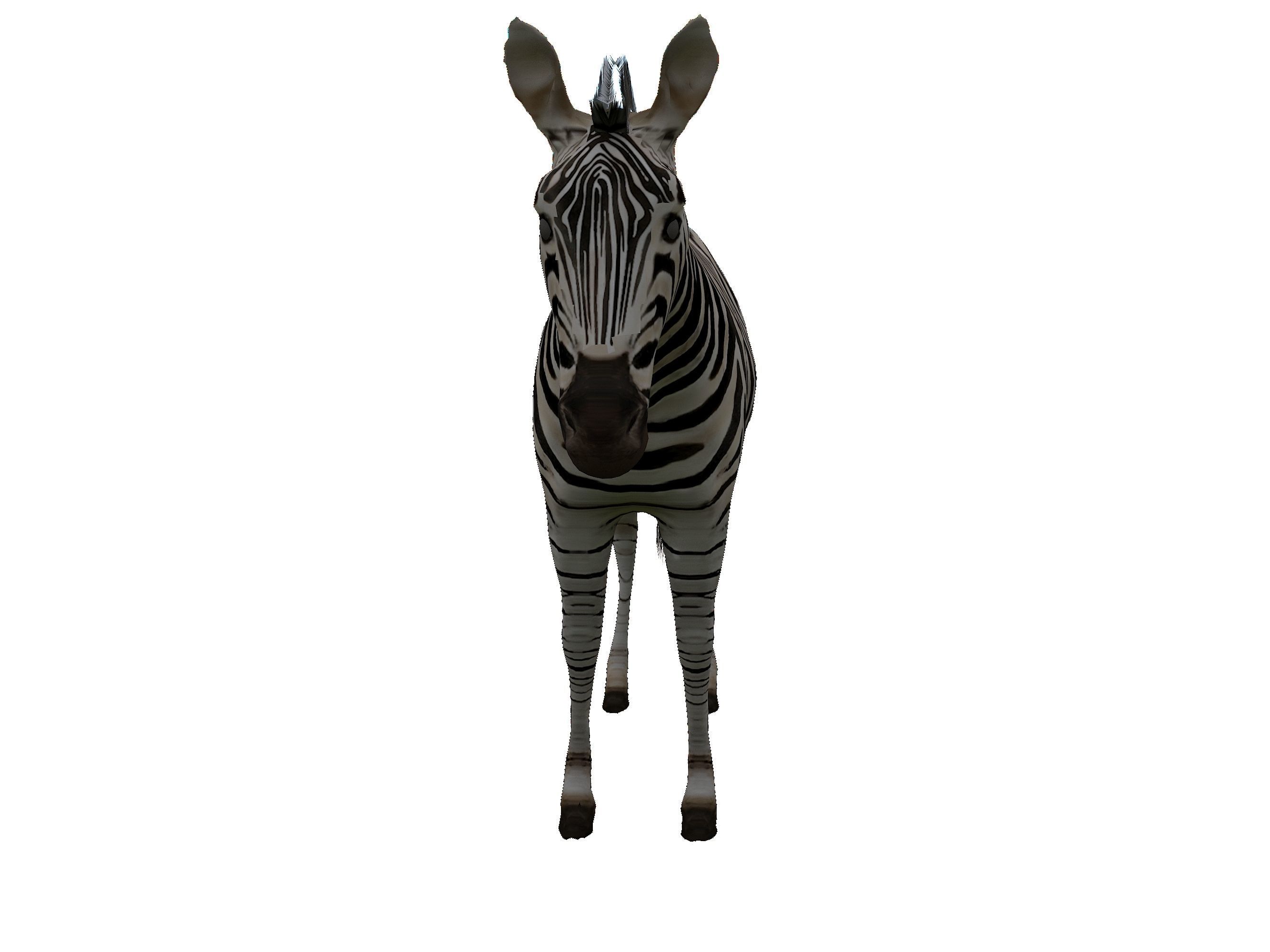 Zebra Low Poly For Games and VR Low-poly 3D model_4