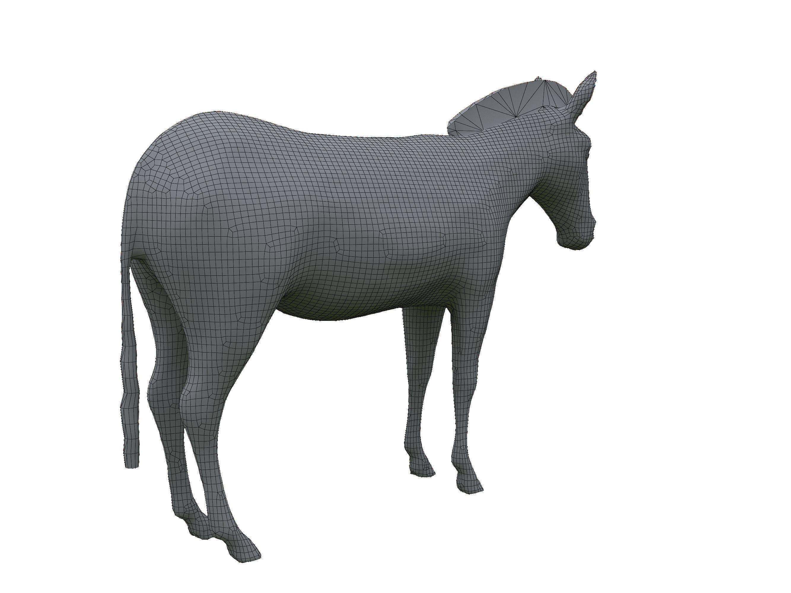 Zebra Low Poly For Games and VR Low-poly 3D model_25