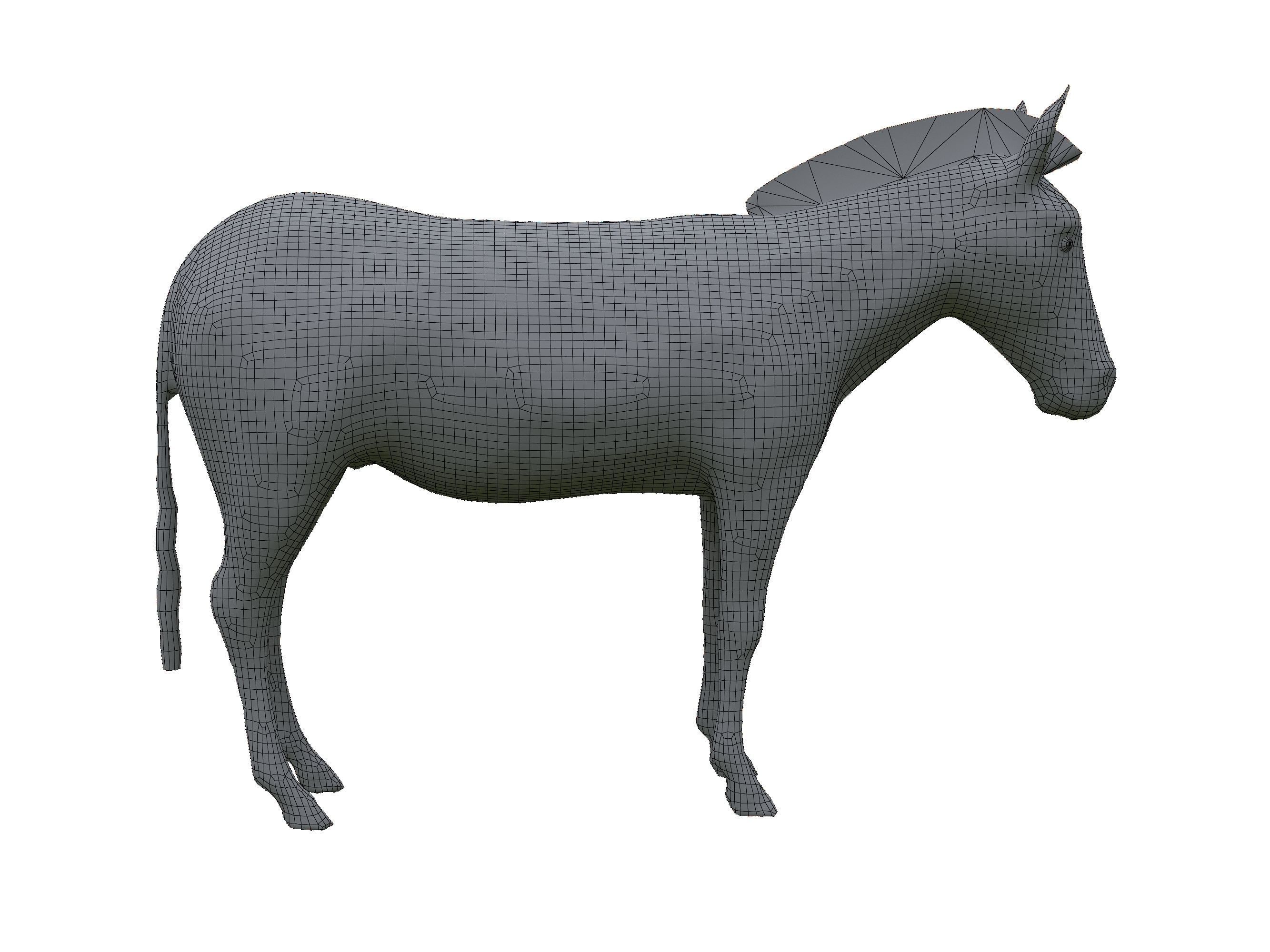 Zebra Low Poly For Games and VR Low-poly 3D model_23