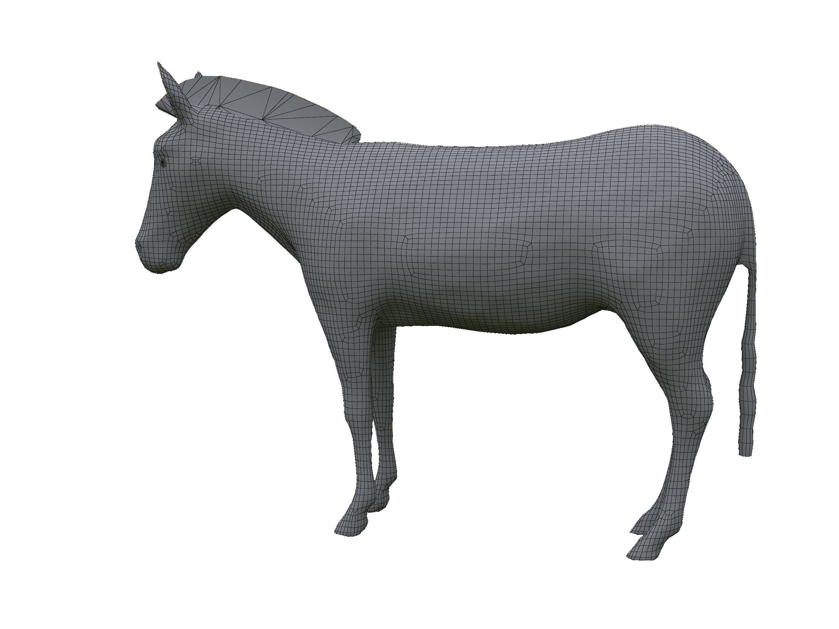 Zebra Low Poly For Games and VR Low-poly 3D model_29