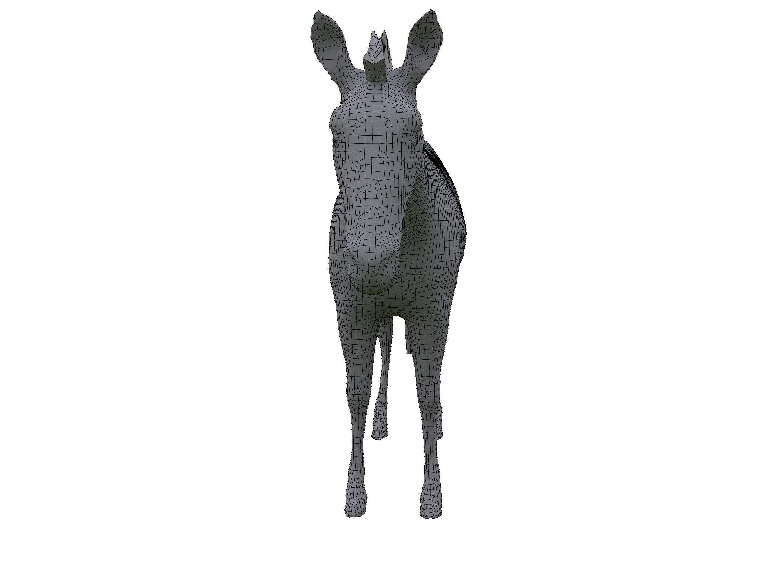 Zebra Low Poly For Games and VR Low-poly 3D model_20