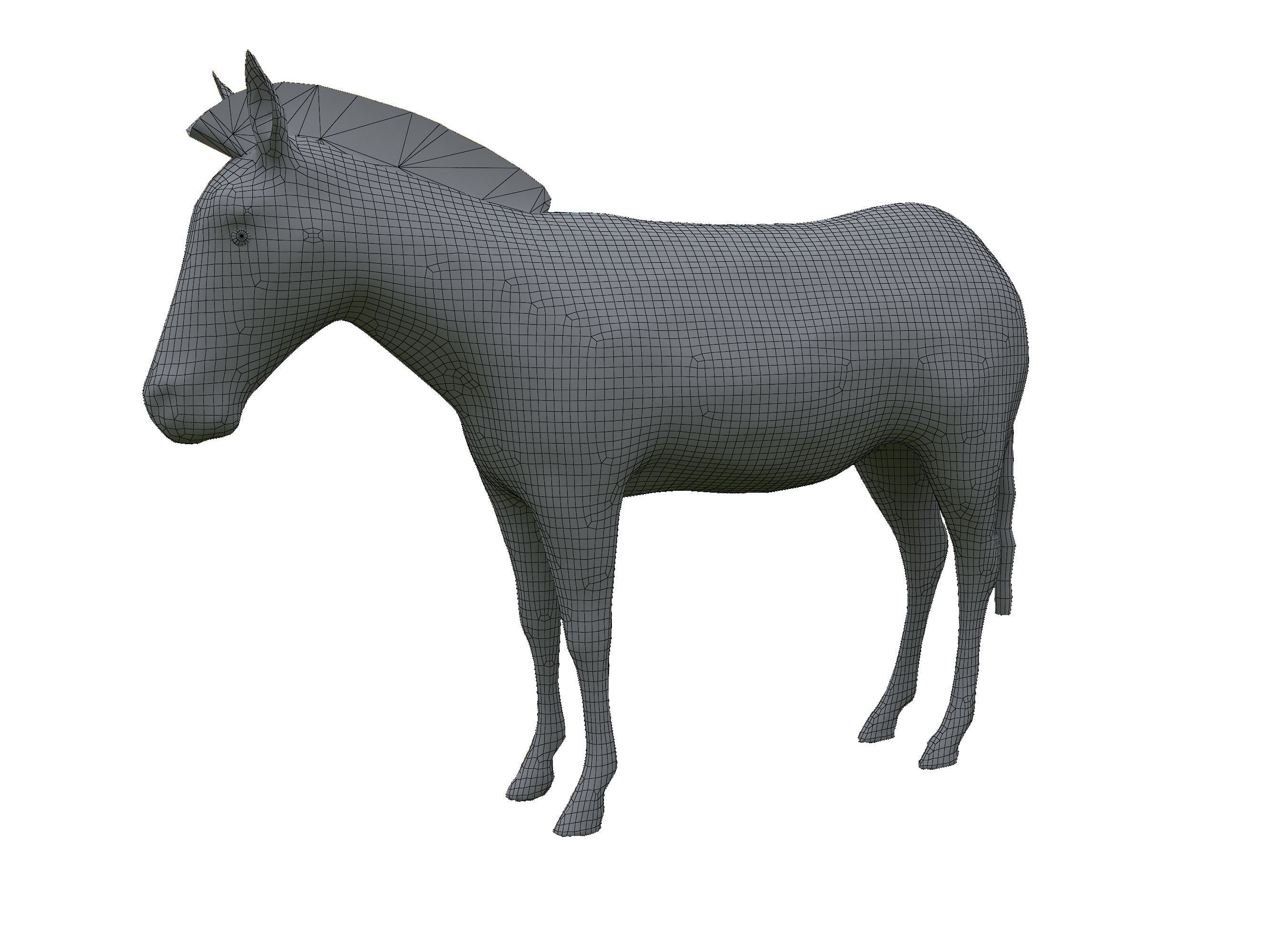 Zebra Low Poly For Games and VR Low-poly 3D model_17