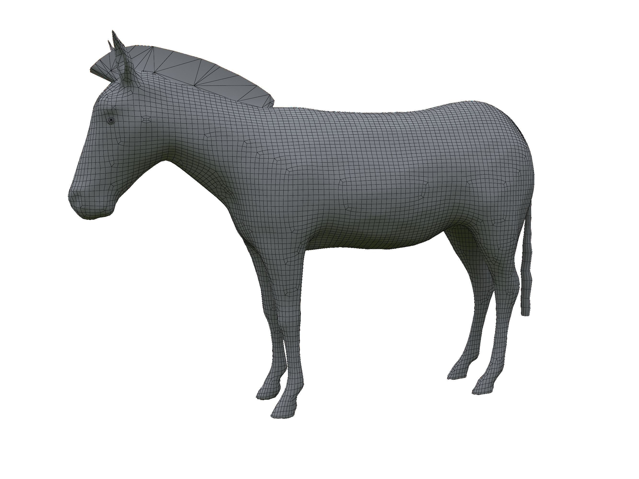 Zebra Low Poly For Games and VR Low-poly 3D model_31