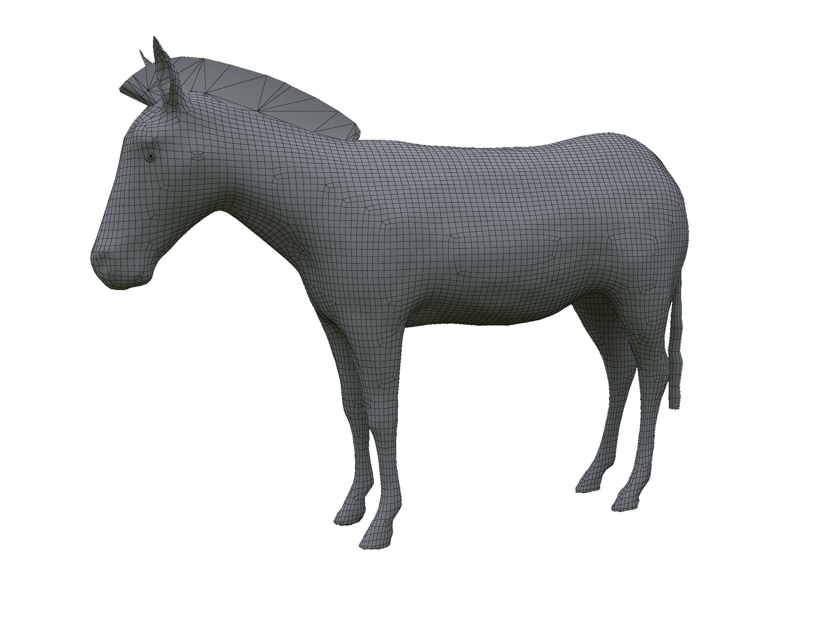 Zebra Low Poly For Games and VR Low-poly 3D model_16