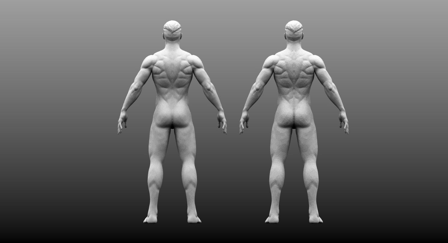 Male Base Mesh High and Low Poly Free 3D model_4
