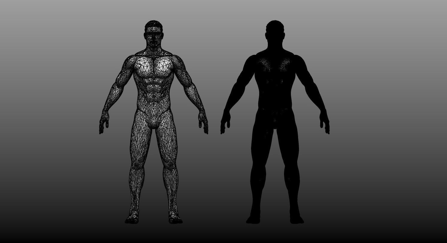 Male Base Mesh High and Low Poly Free 3D model_7