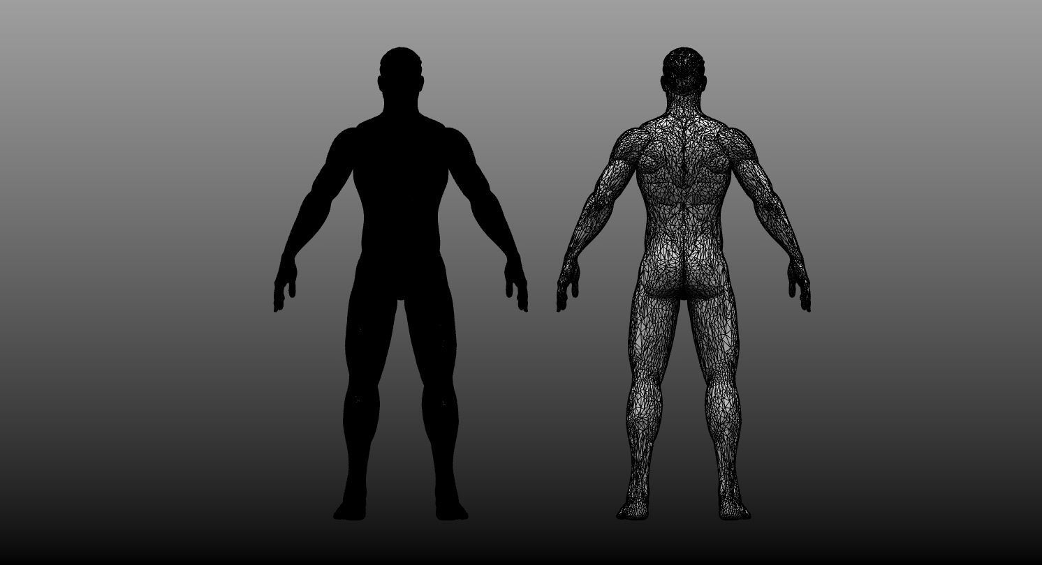 Male Base Mesh High and Low Poly Free 3D model_8