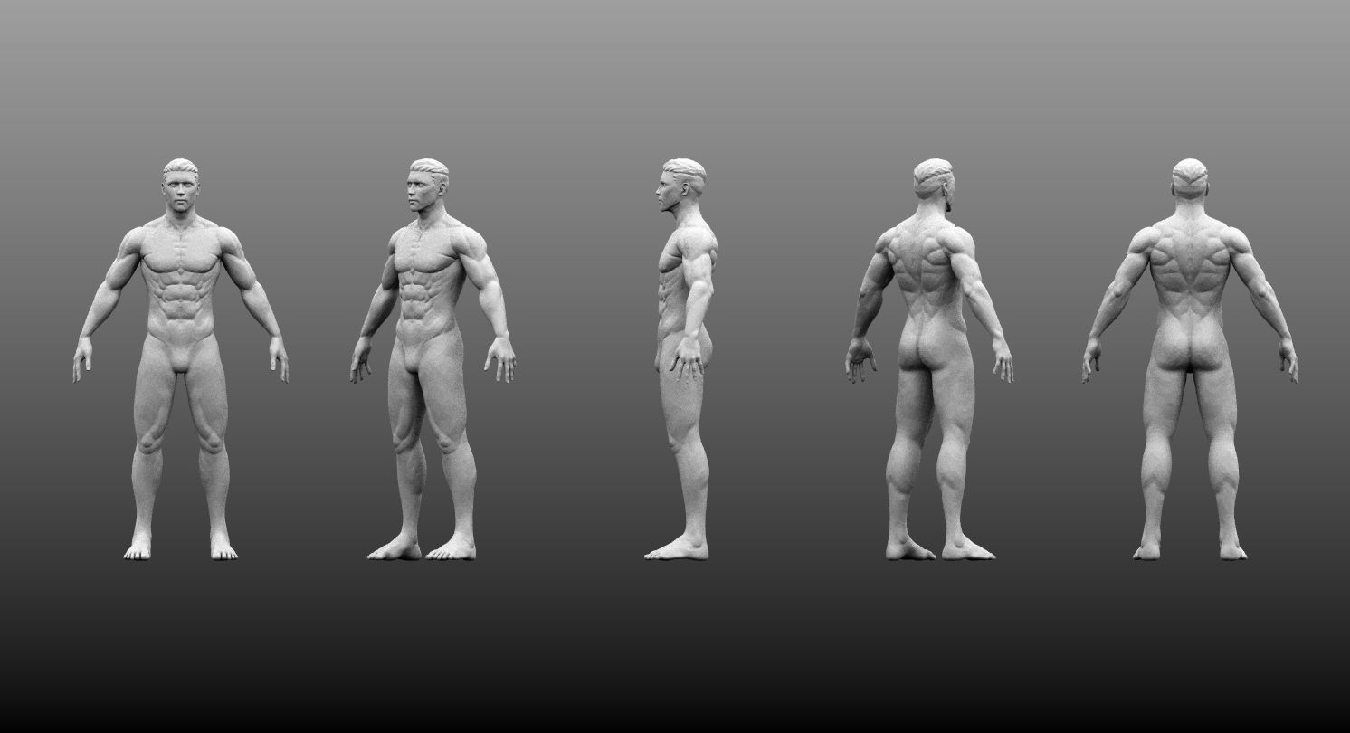 Male Base Mesh High and Low Poly Free 3D model_2