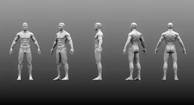 Male Base Mesh High and Low Poly Free 3D model