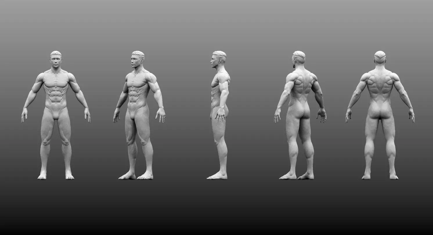 Male Base Mesh High and Low Poly Free 3D model_0