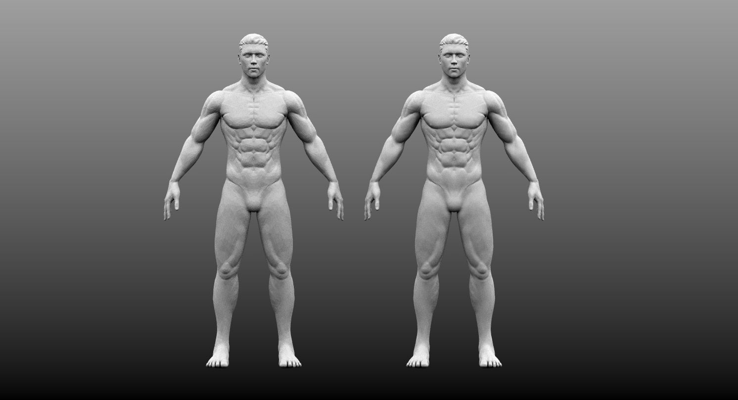 Male Base Mesh High and Low Poly Free 3D model_3