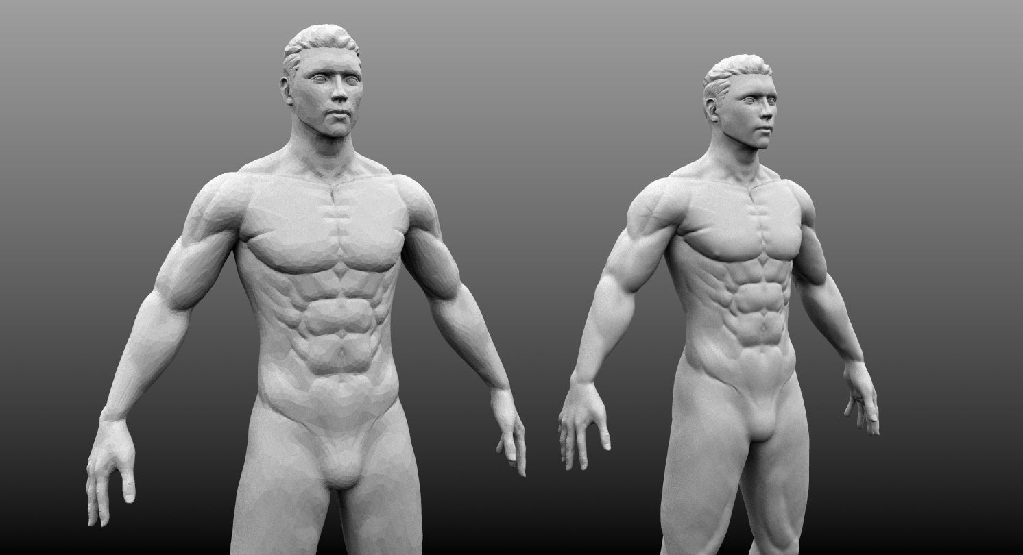Male Base Mesh High and Low Poly Free 3D model_6