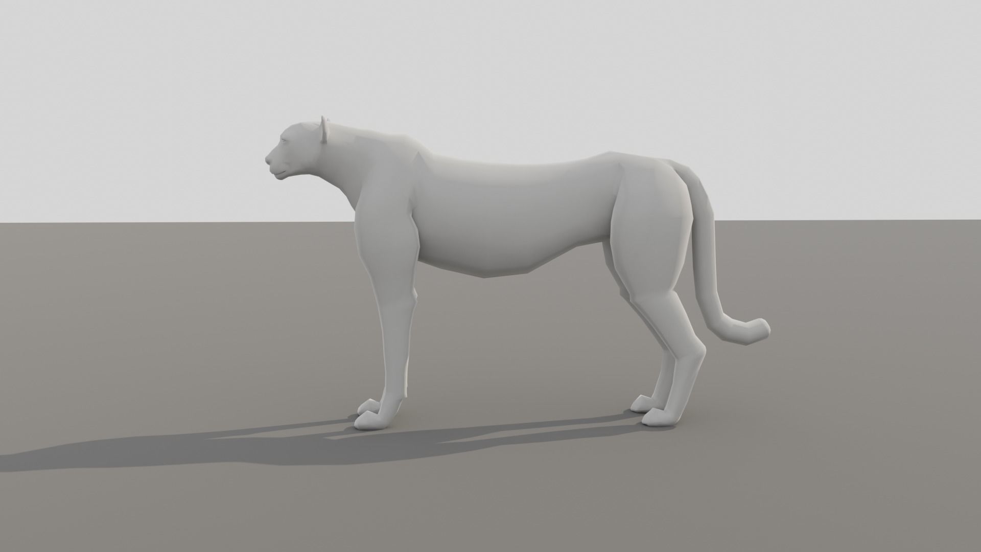 Cheetah Low-poly 3D model_8