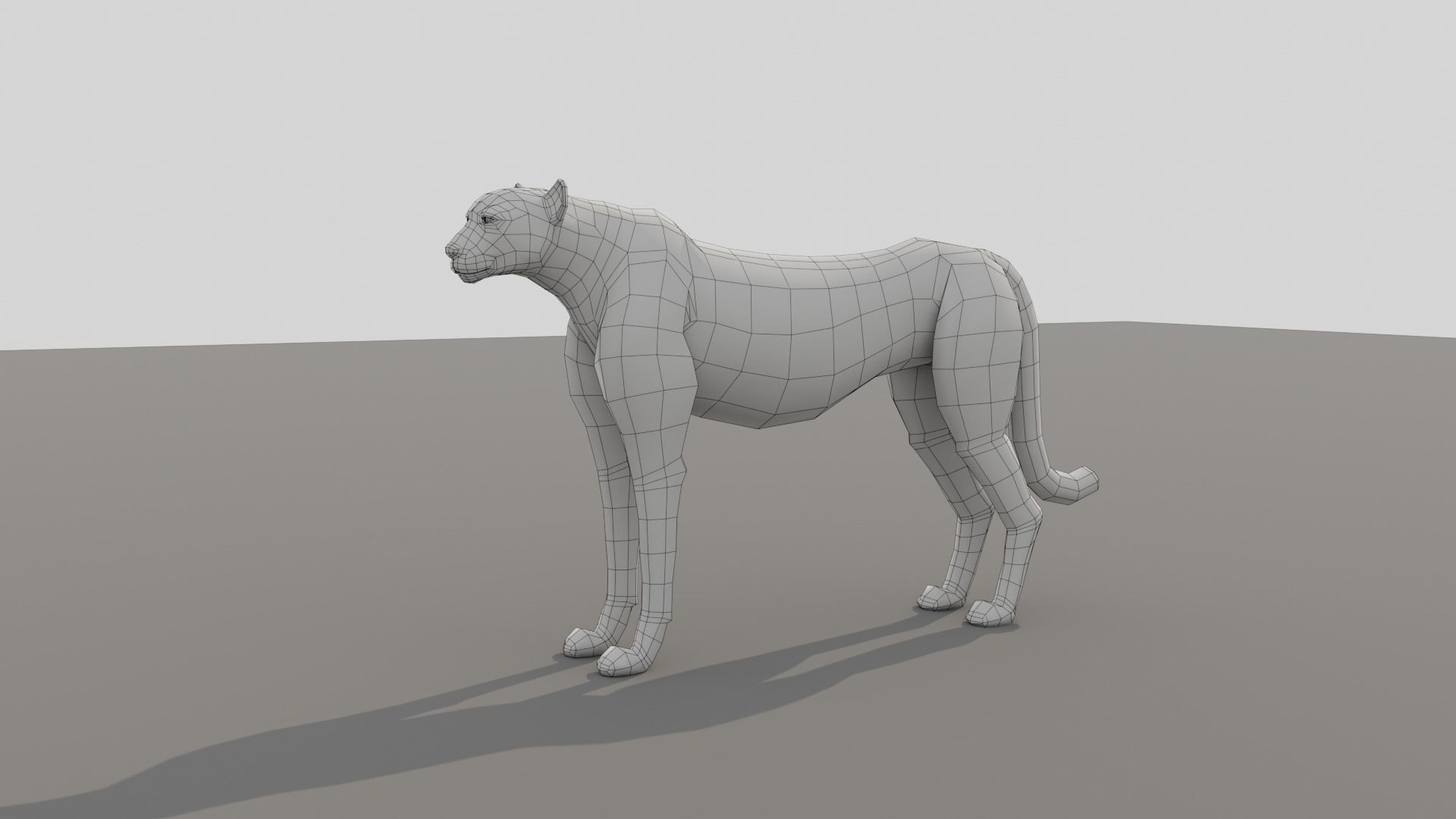 Cheetah Low-poly 3D model_11