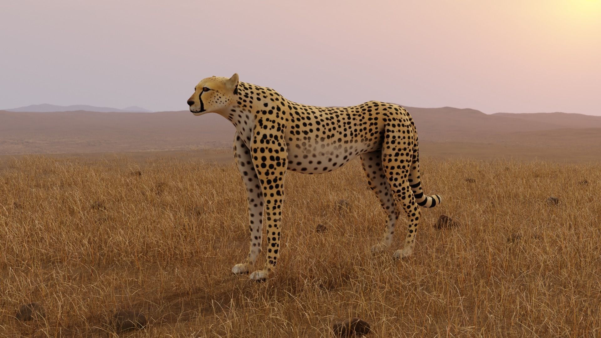 Cheetah Low-poly 3D model_2