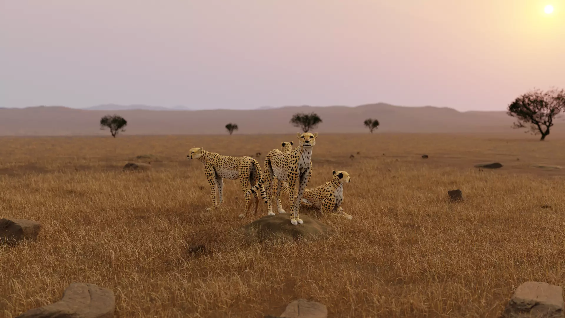 Cheetah Low-poly 3D model_0