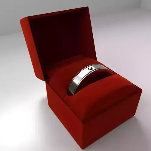 Silver Ring with Diamond and Velvet Box