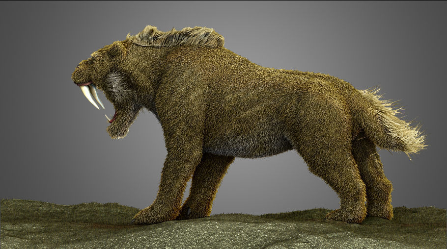 Saber tooth Cat High Poly Print ready 3D model_3